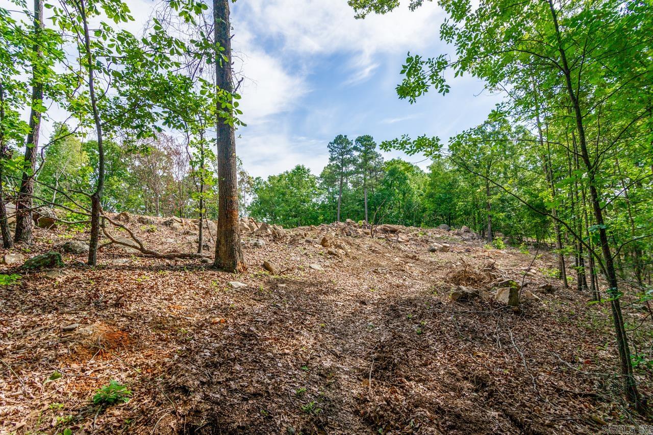 Premium 3.26 acre cul-de-sac lot in a gated subdivision with only 17 total homesites. One of the last 3 lots remaining. Elevated homesite offers seasonal VIEWS of Beaverfork Lake with potential for expanded views through additional clearing. This property has been partially IMPROVED, including: Approximately 100 x 60 homesite cleared, Driveway path roughed in, timber cleared and burned, test digs completed up to 10 ft confirming build feasibility. Property is served by CONWAY CORP water and electric, a highly desirable utility company provider known for affordability. Excellent opportunity to build on prepared, premium land with privacy, elevation, and limited inventory in the neighborhood.