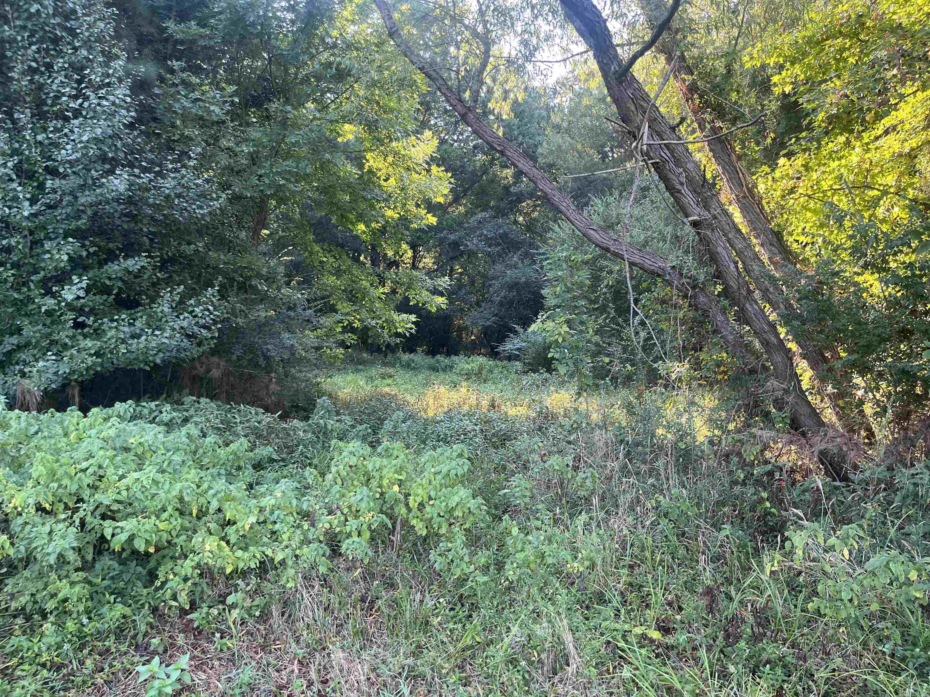 Beebe Rural - Land