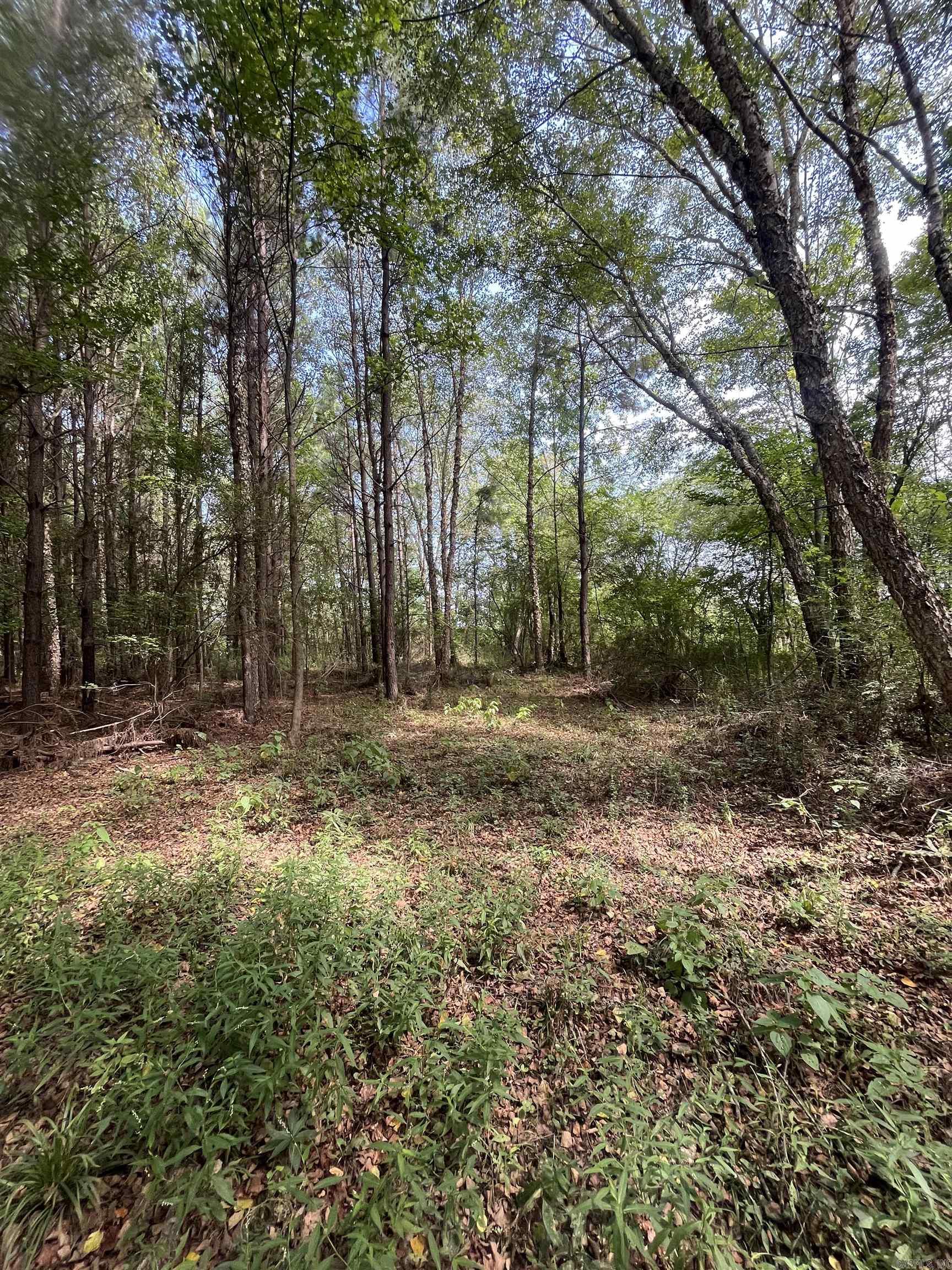 Beebe Rural - Land