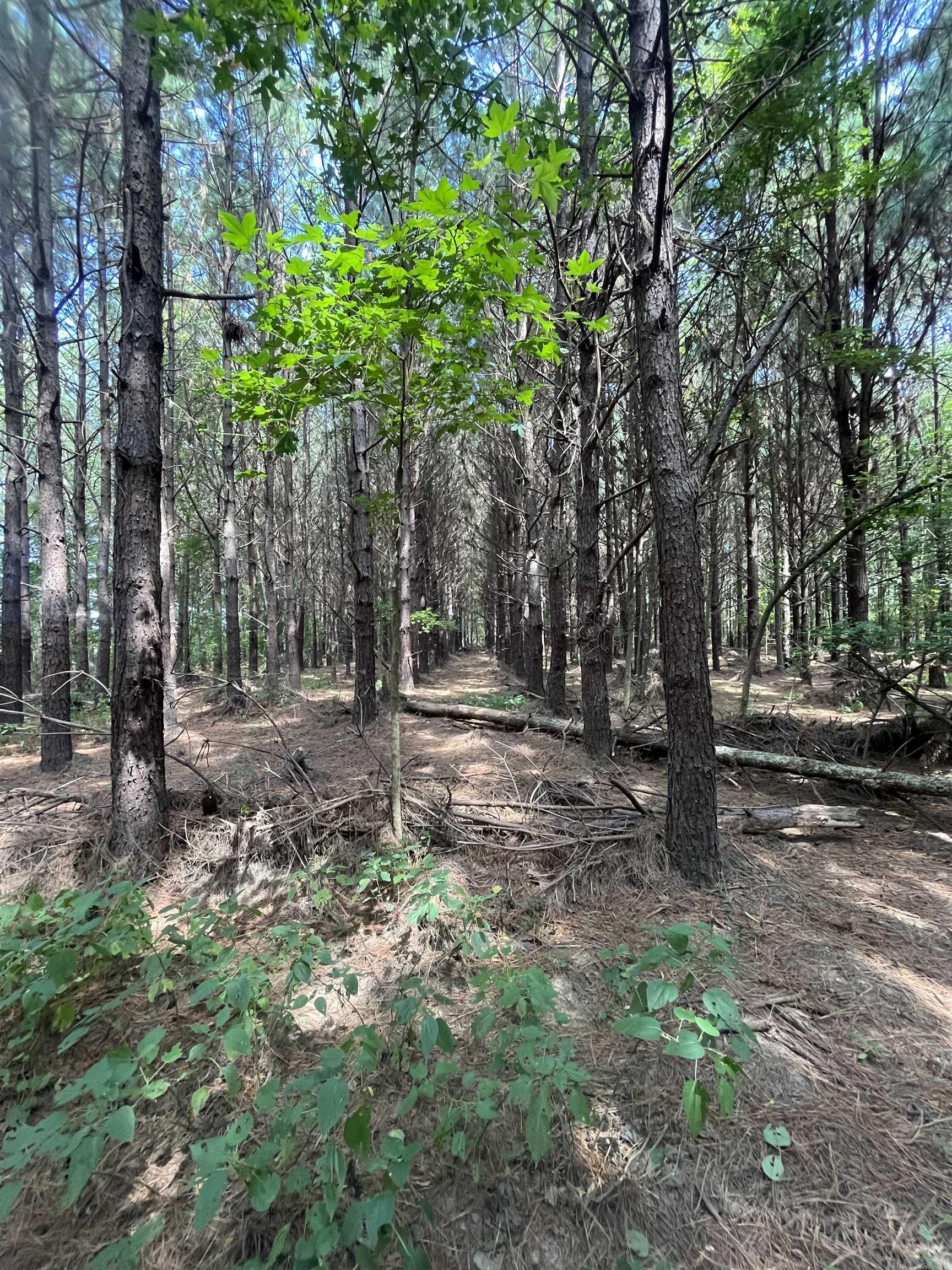 Beebe Rural - Land