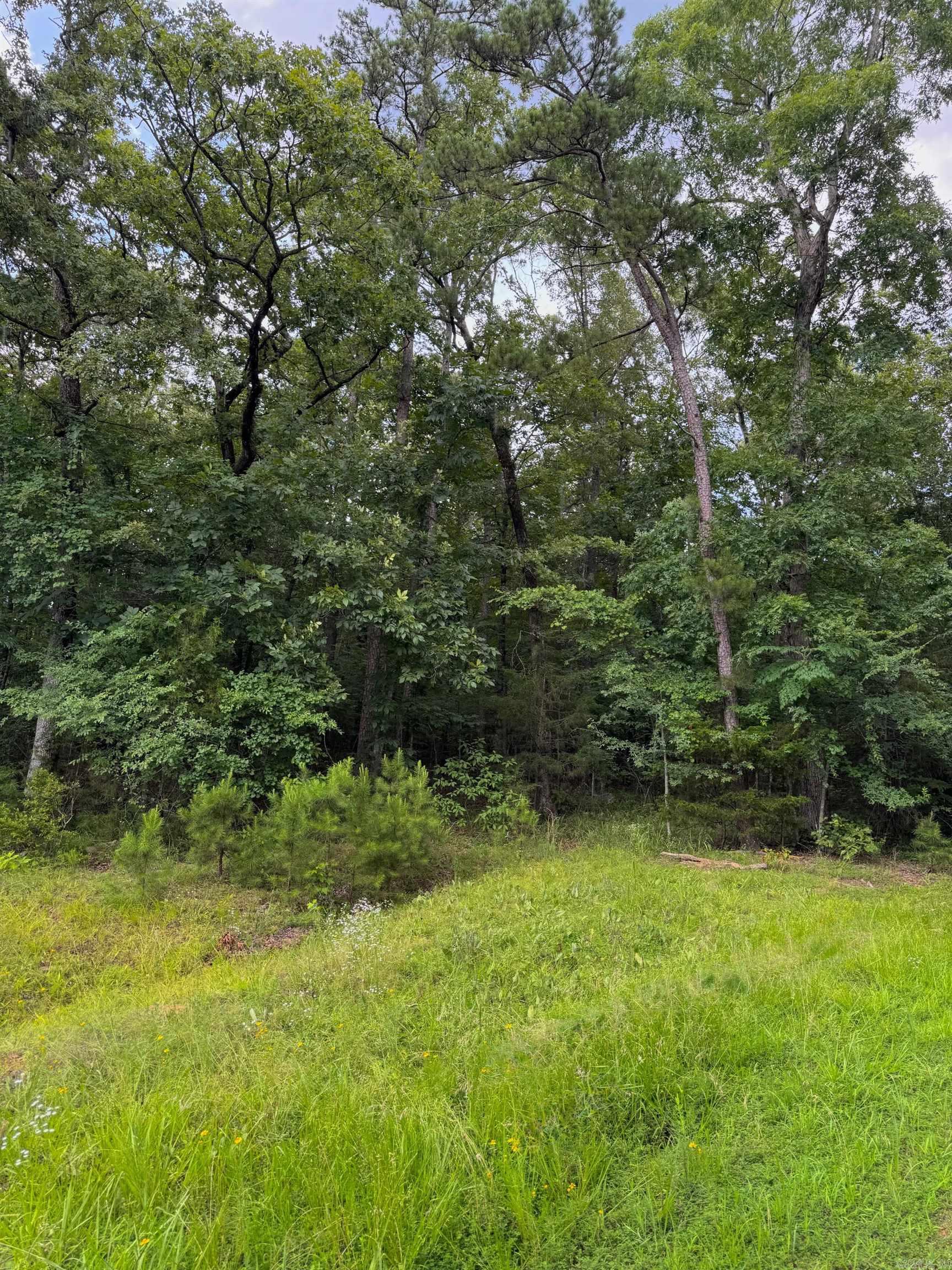 Primrose Creek Sayles - Land