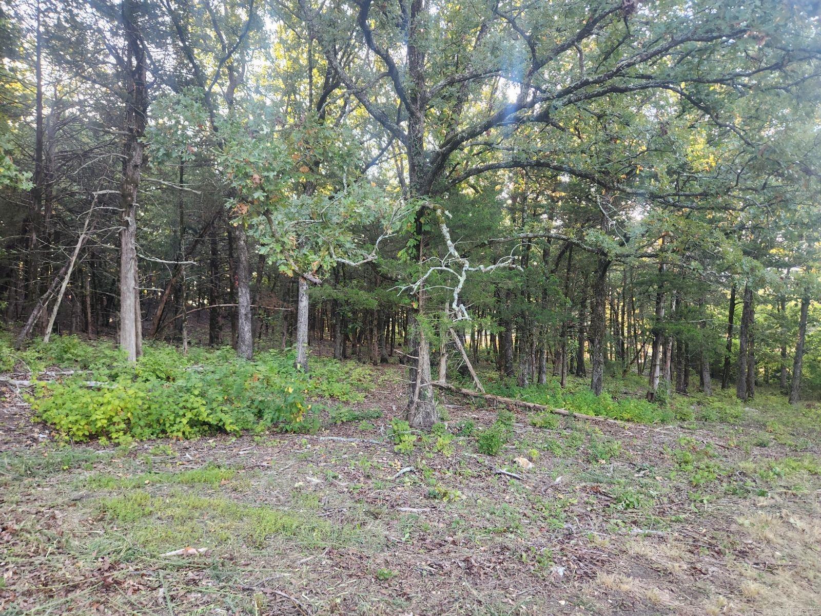 Beautiful building lot on top in the cul-de-sac. Potentail for amazing view.  Restrictions in place to preserve your investment. Underground utilities at property. Fiber optic going in soon.