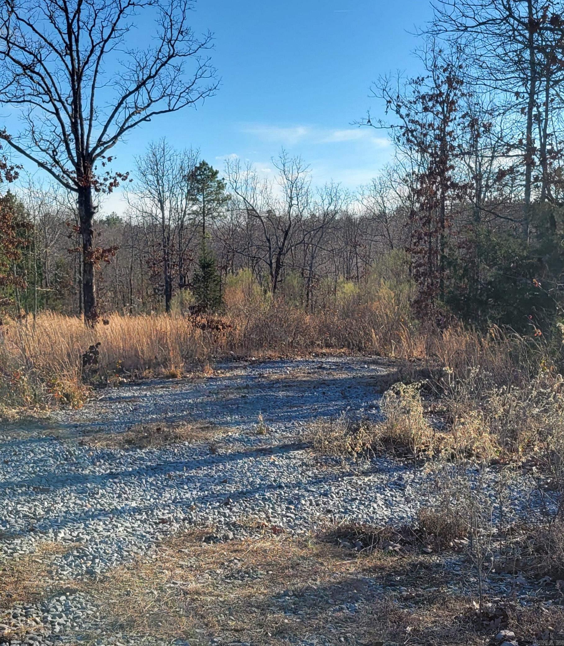 New Year New Home Ready To Build. For Sale 3.48 Acres of Land Located at 19 Manna Lane off Stone Mountain, Faulkner County, Conway address, Vilonia School District and Saltillo Fire District. Dedicated Subdivision Miracle Mountain Estates Phase 1.With Covenants and Restrictions. Land is Ready To Build Your Dream Home and Utilities City Water and Electric are at the road. Install your own septic system. or we have someone on site who can install septic system, build you a driveway and house pad. There is a  little creek at the back of property. Lot is level with a gentle slope towards the back.