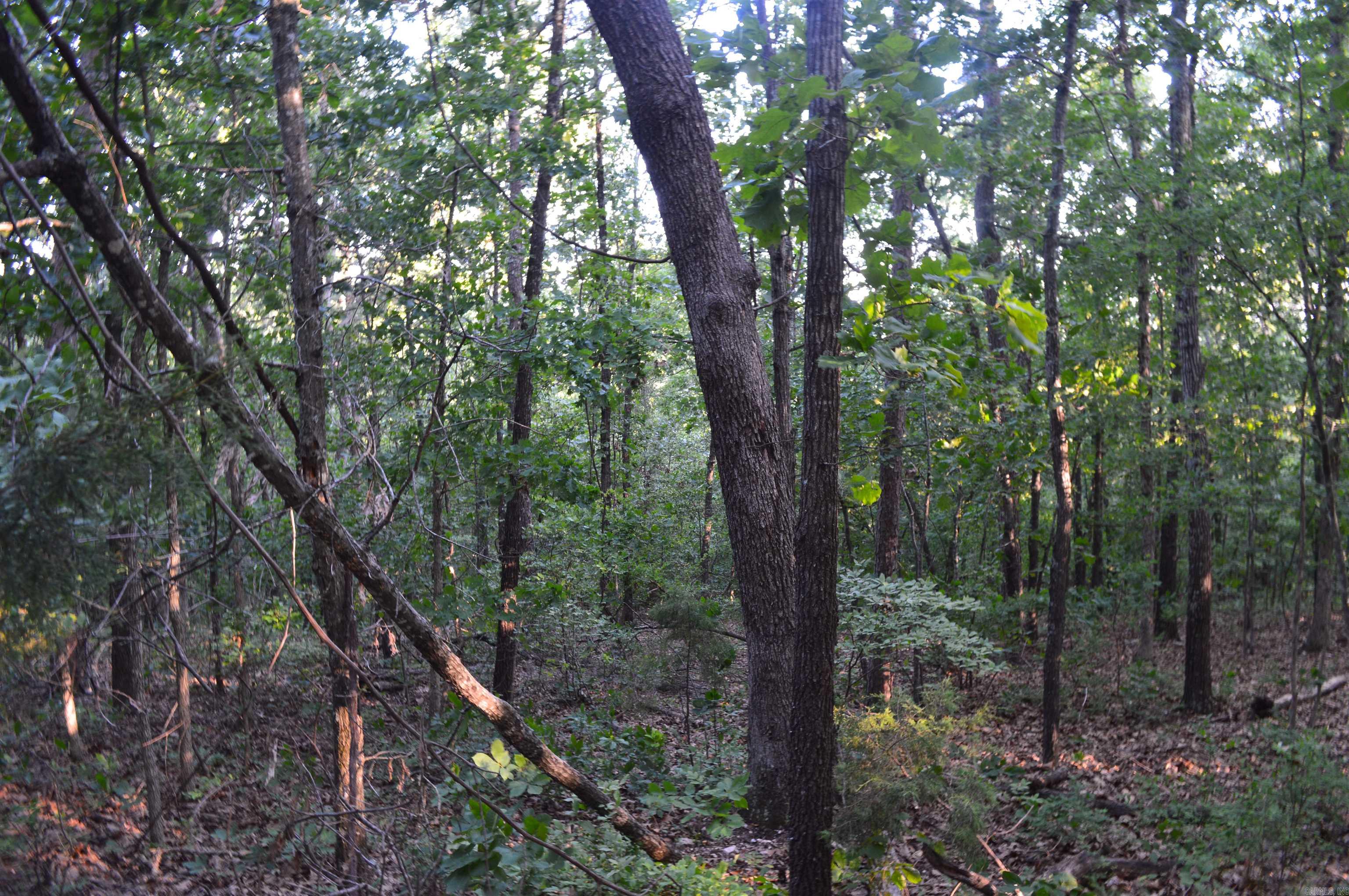 Not in Subdivision - Land