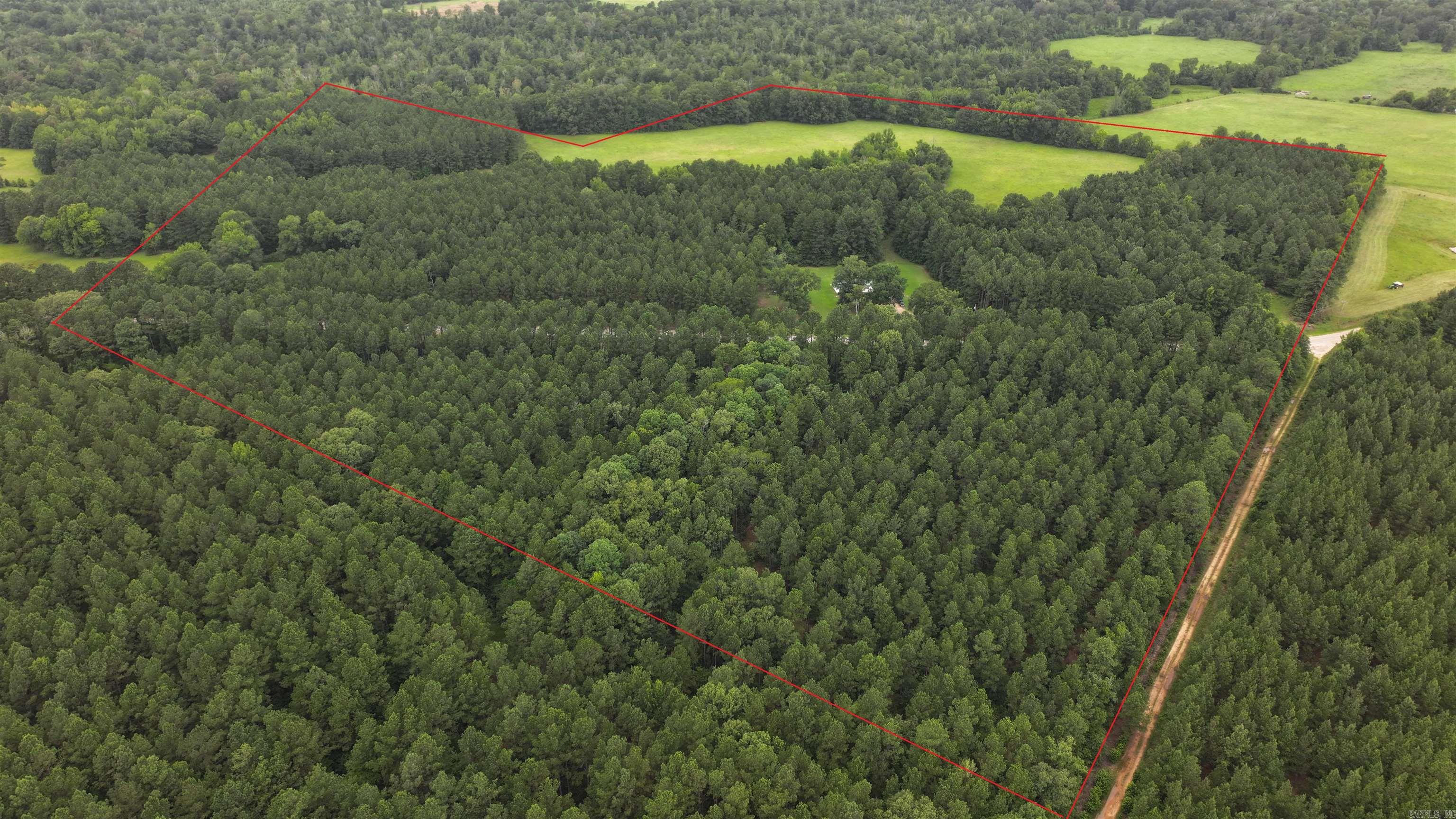 Discover the perfect blend of country living, recreational paradise, and investment potential with this beautiful 75±-acre property. Featuring 51± acres of mature, approximately 30-year-old pine timber and 24± acres of  pastureland, this property offers endless opportunities for farming, , recreation, or future timber income.  A scenic pond enhances the property's beauty while providing an excellent water source for wildlife and livestock. Outdoor enthusiasts will appreciate the outstanding hunting, with abundant populations of deer, turkey, and small game making this a true sportsman's retreat.  With approximately 1,600 ft of county road frontage the property offers excellent access and future development potential.  Situated on the property is a well-maintained 1,200 square- foot mobile home  featuring 3 bedrooms and 2 bathrooms.  Numerous improvements have been completed over the past decade, including a new metal roof installed approximately 10 years ago and a new HVAC system installed just 2 years ago, providing peace of mind for years to come.  Utilities are already in place, including county water, Ouachita Electric service, and fiber-optic high-speed internet, allowing you