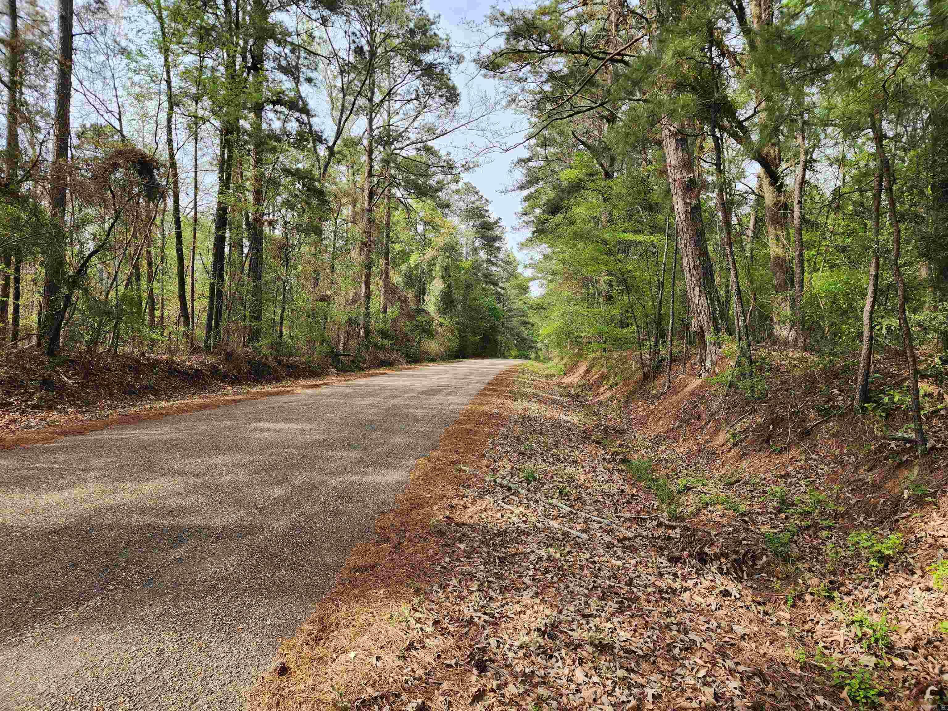 Wooded acreage for sale in Louann, AR. No mineral rights will be conveyed.