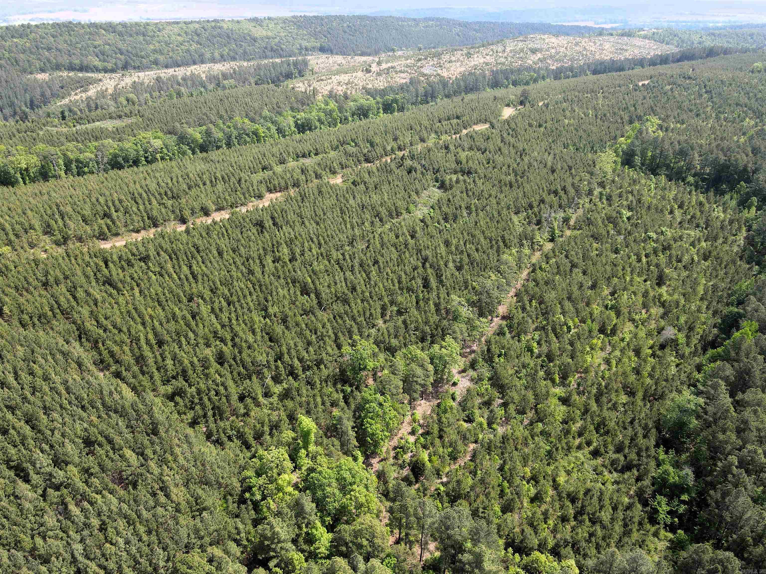 - 40 +/- acres of mixed aged timber - Deeded easement access - 90% pine plantation, 10 % mature hardwood timber - No restrictions - Great hunting - Wet weather creek - Numerous build sites for off grid living or camping - Gated entry for access control and security - 6 miles to Bigelow - 15 miles to Conway