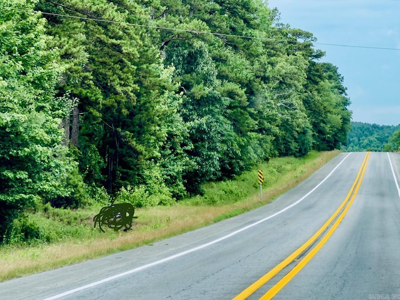Wooded Highway 71 frontage located just down from thriving business. Perfect place to build your forever home, multiple homes, start a business.