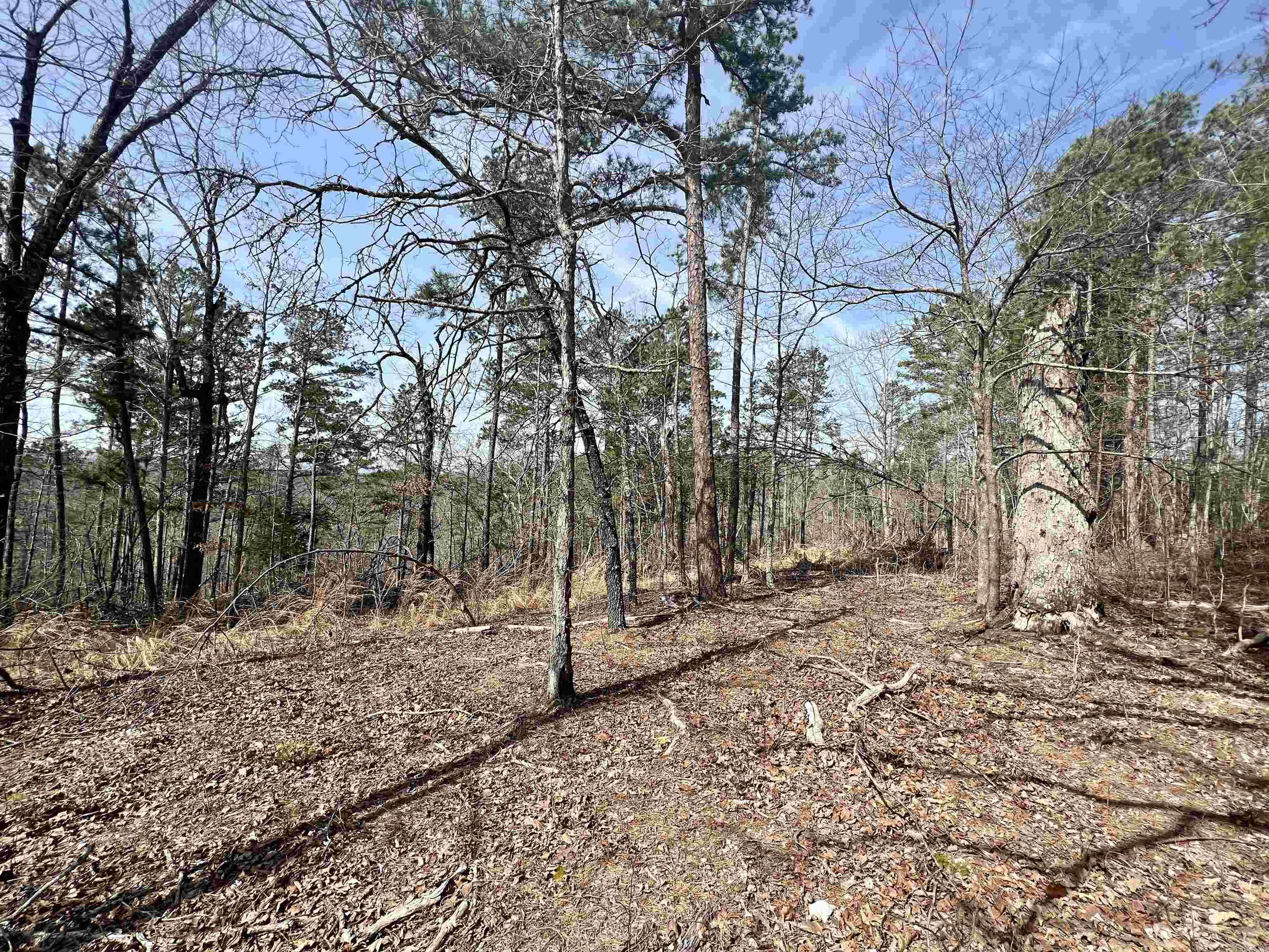 Not in Subdivision - Land