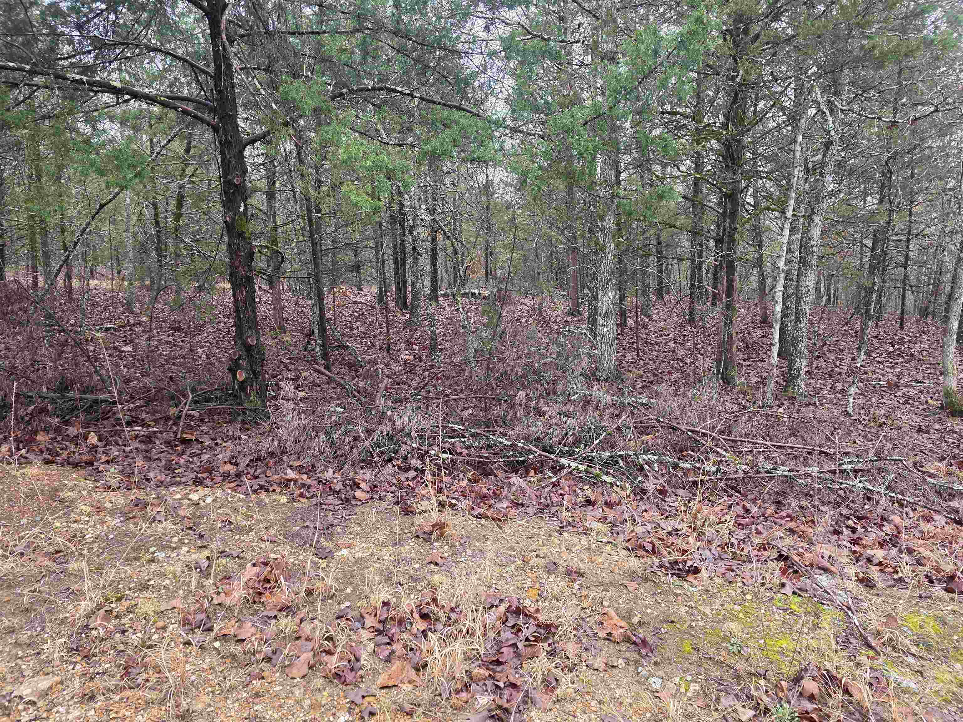 Cherokee Village - Land