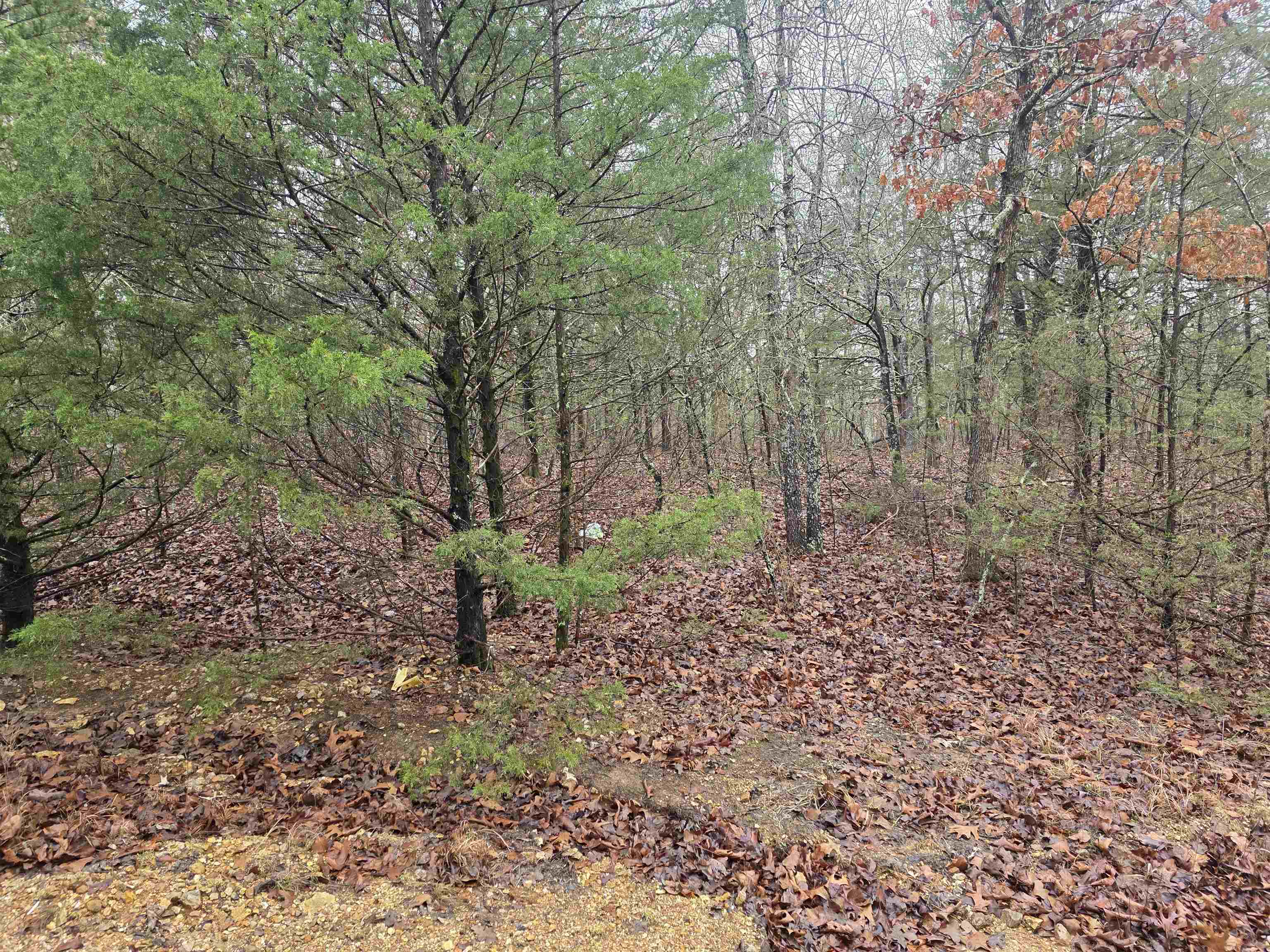 Cherokee Village - Land