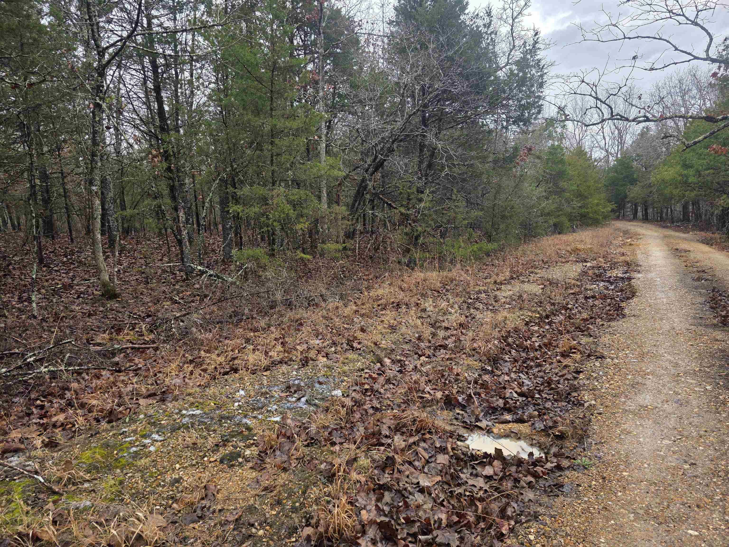 Cherokee Village - Land