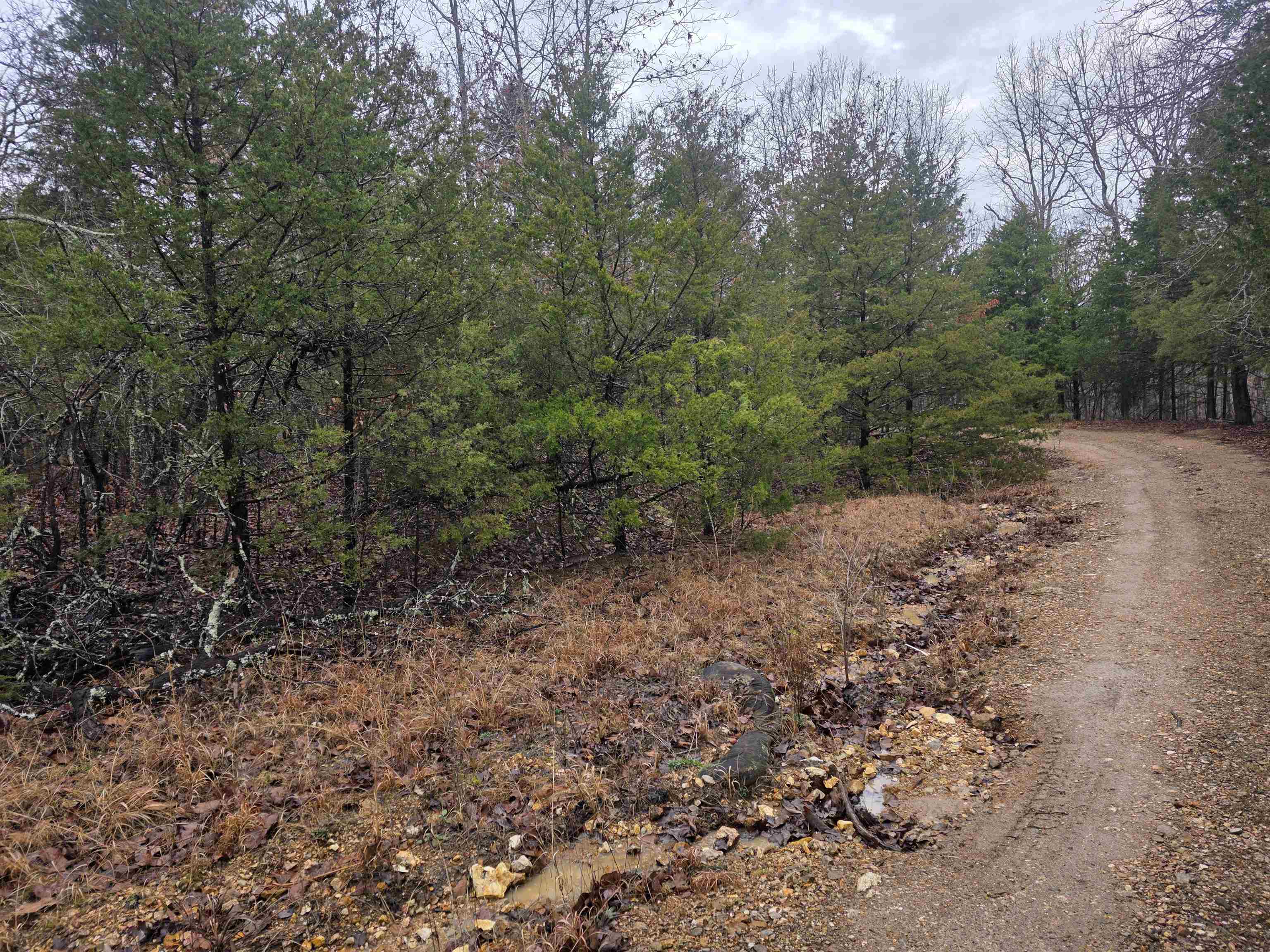 Cherokee Village - Land
