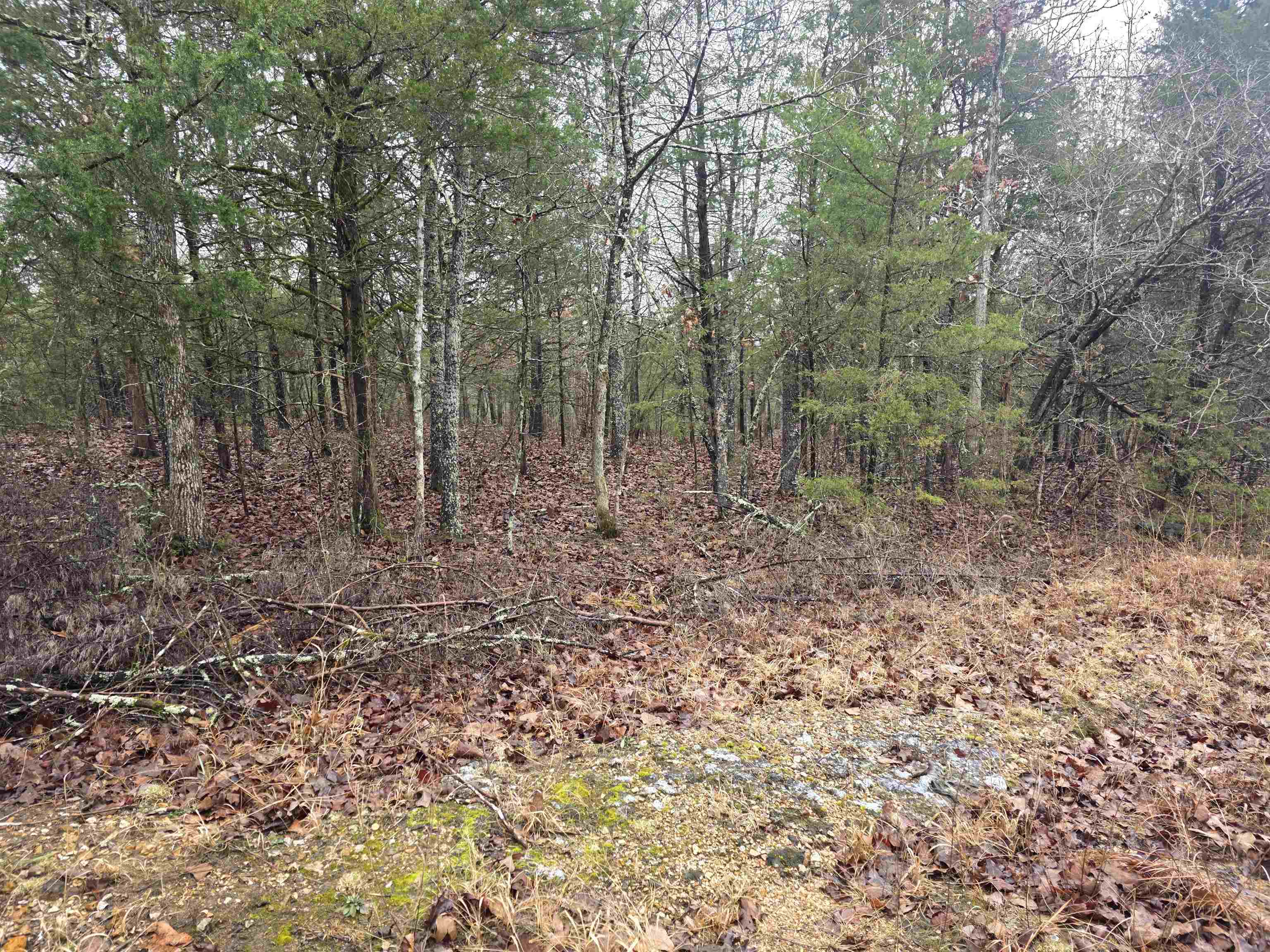 Cherokee Village - Land