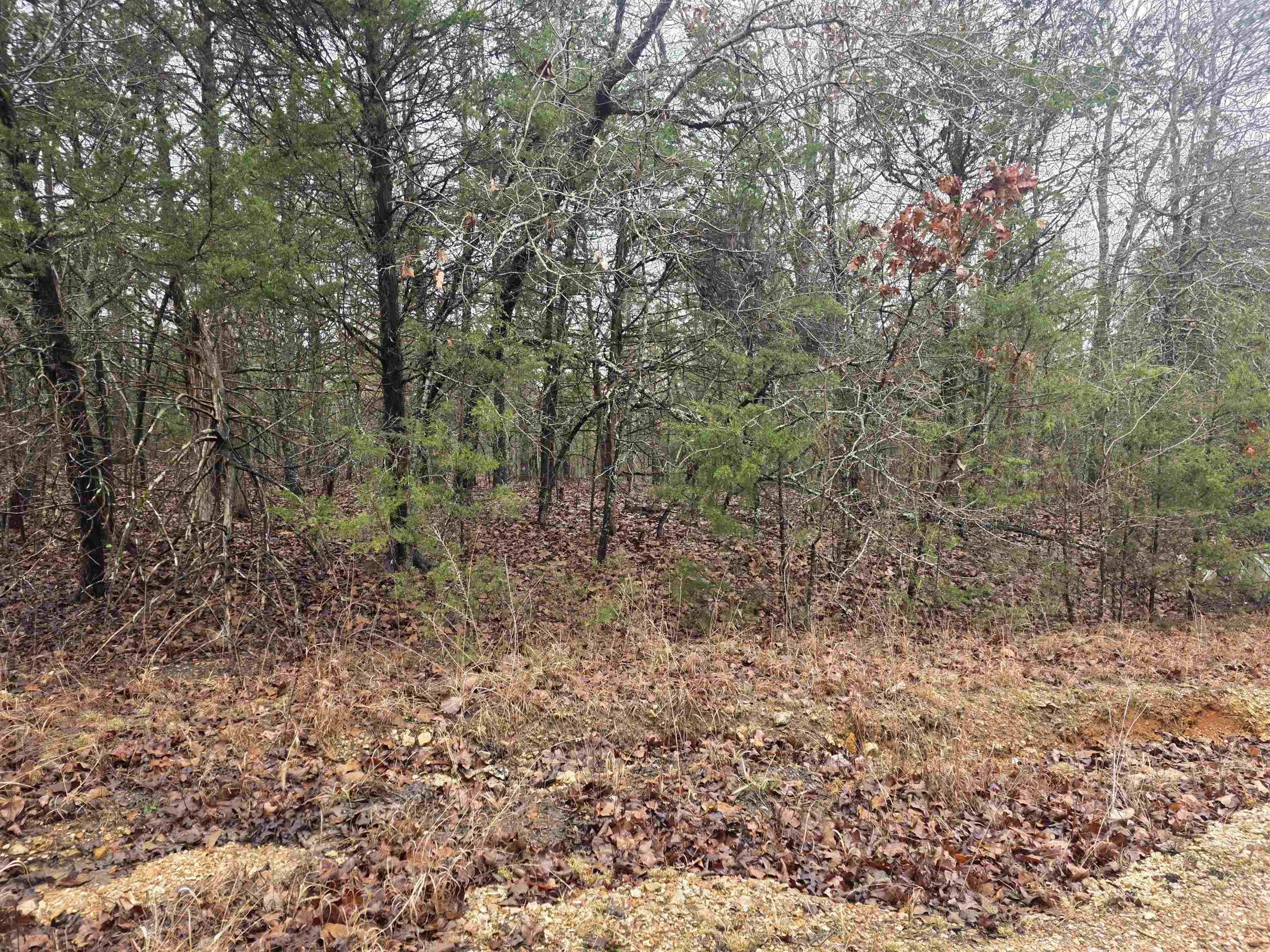 Cherokee Village - Land