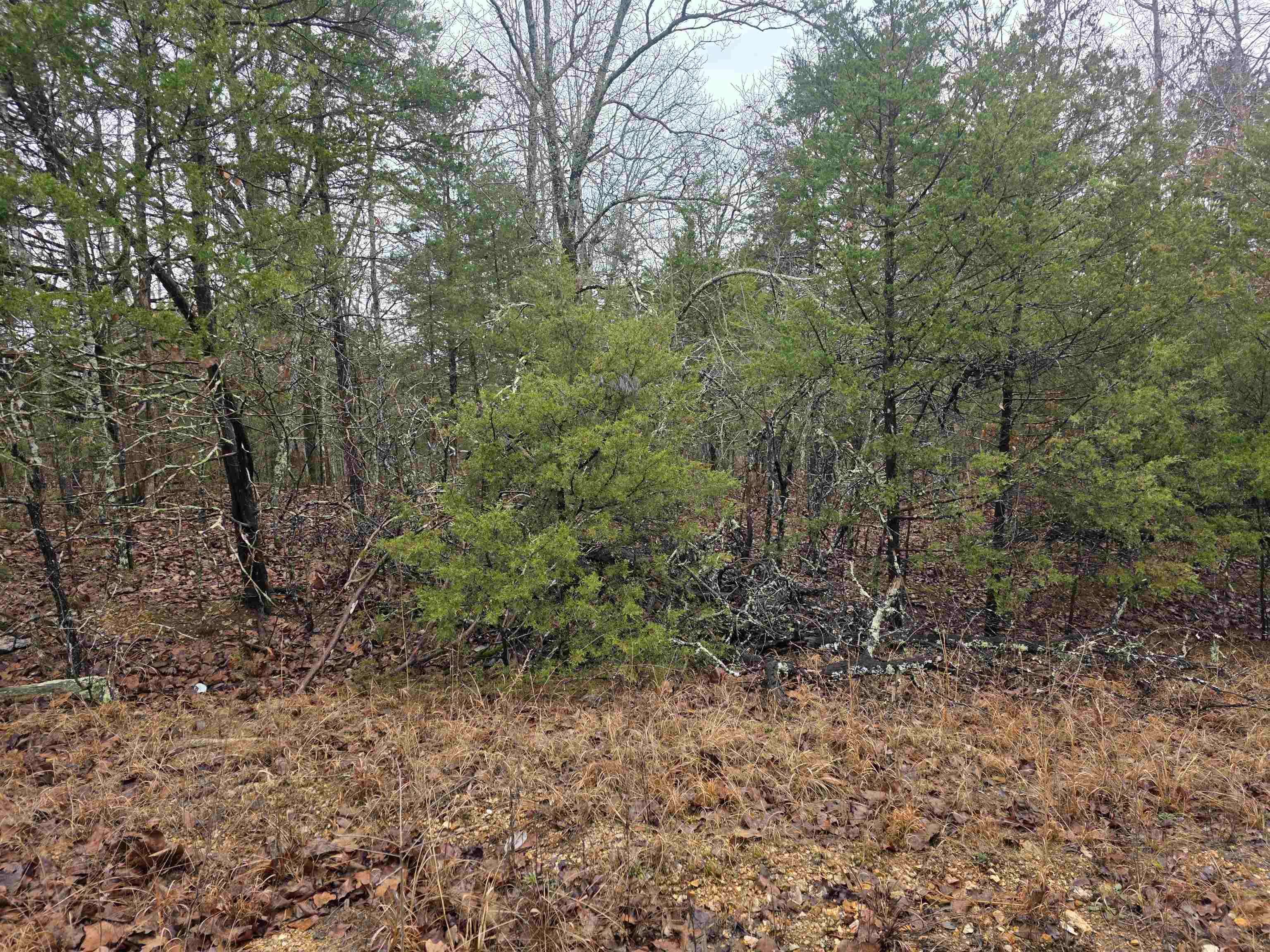 Cherokee Village - Land