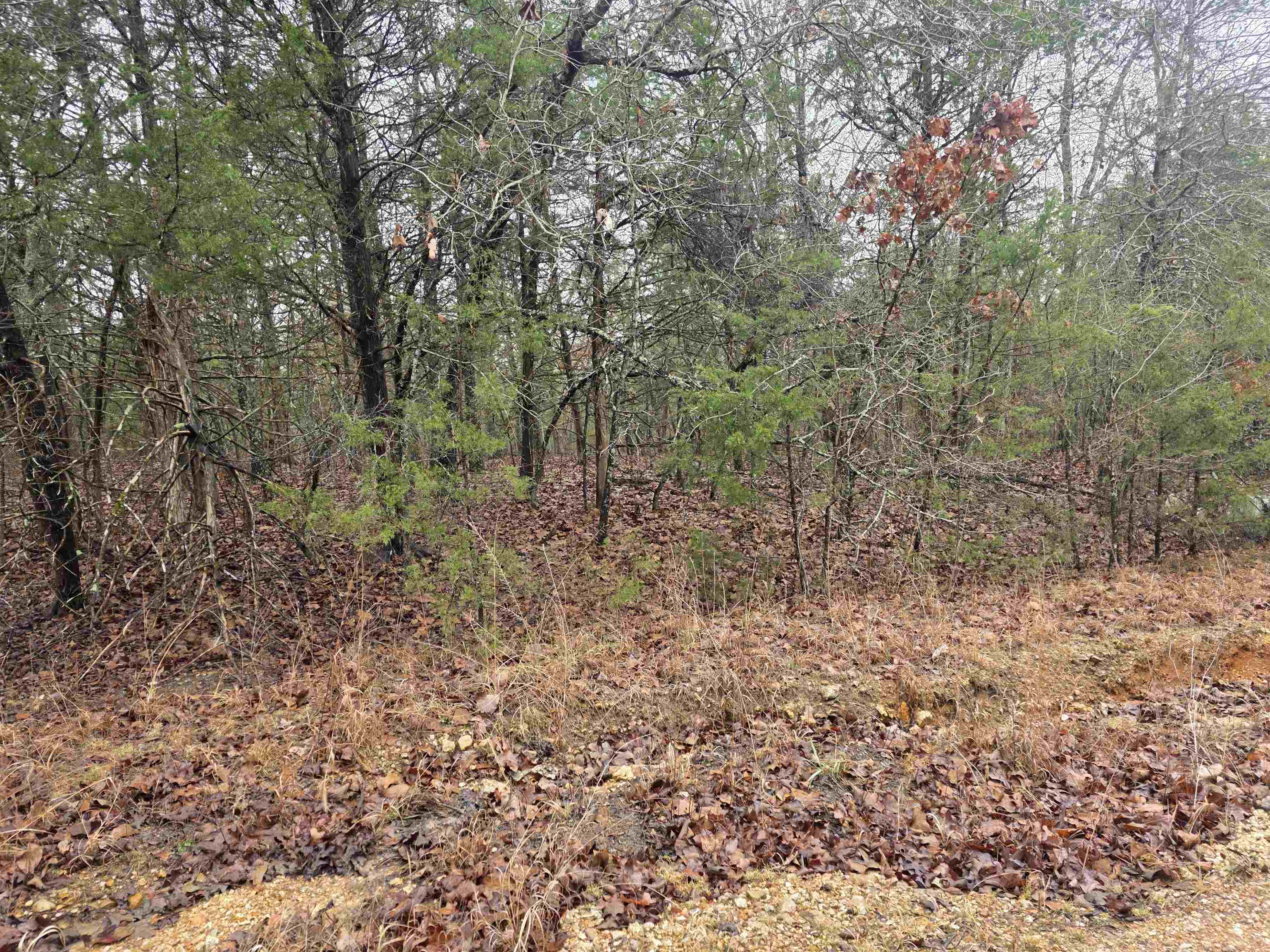 Cherokee Village - Land