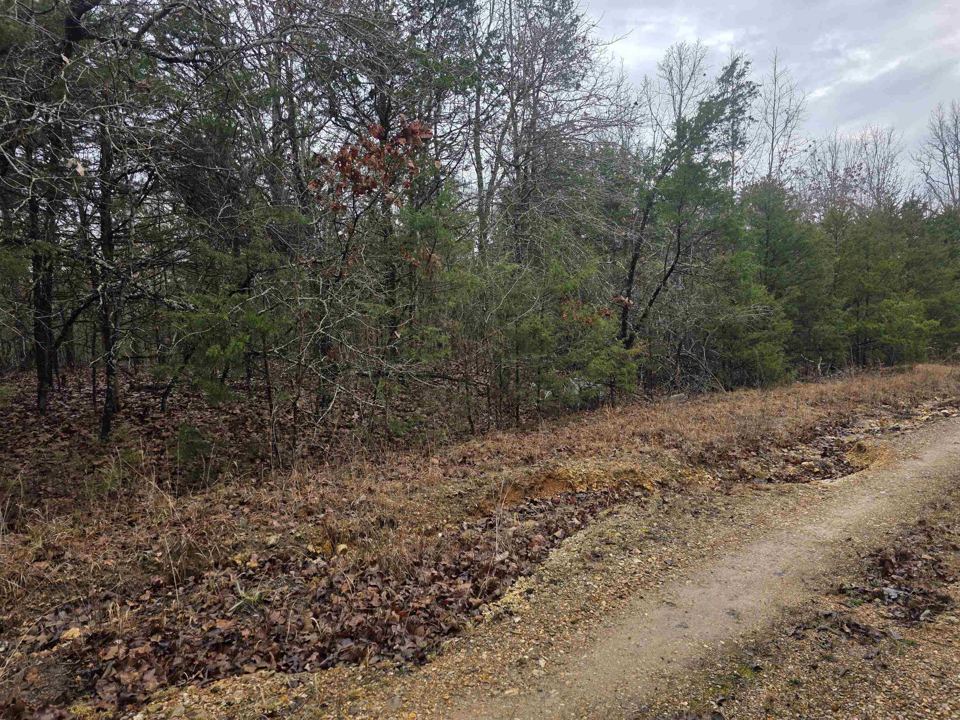 Cherokee Village - Land