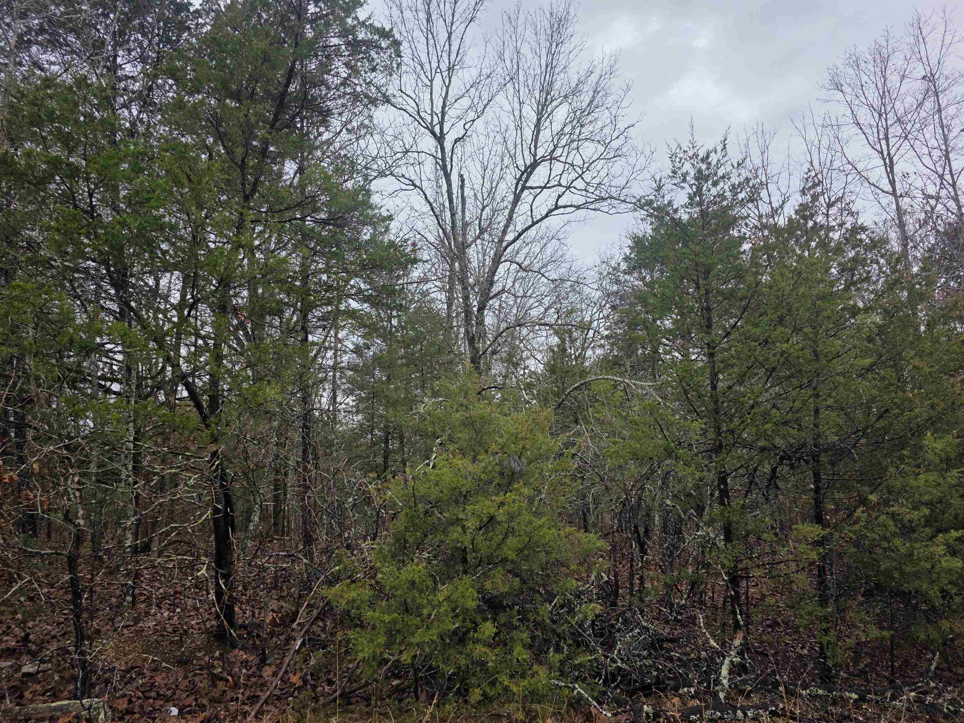 Cherokee Village - Land