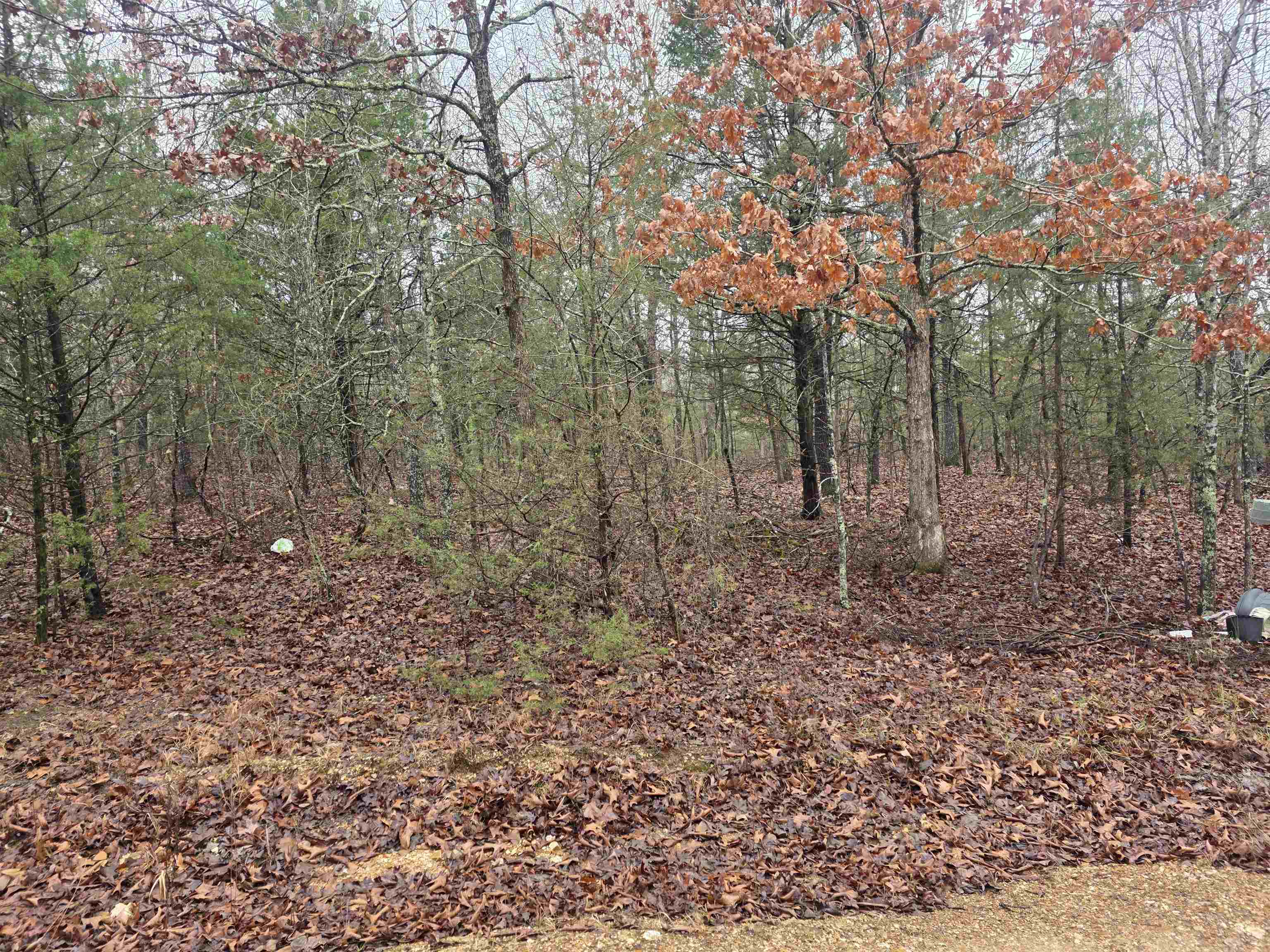 Cherokee Village - Land