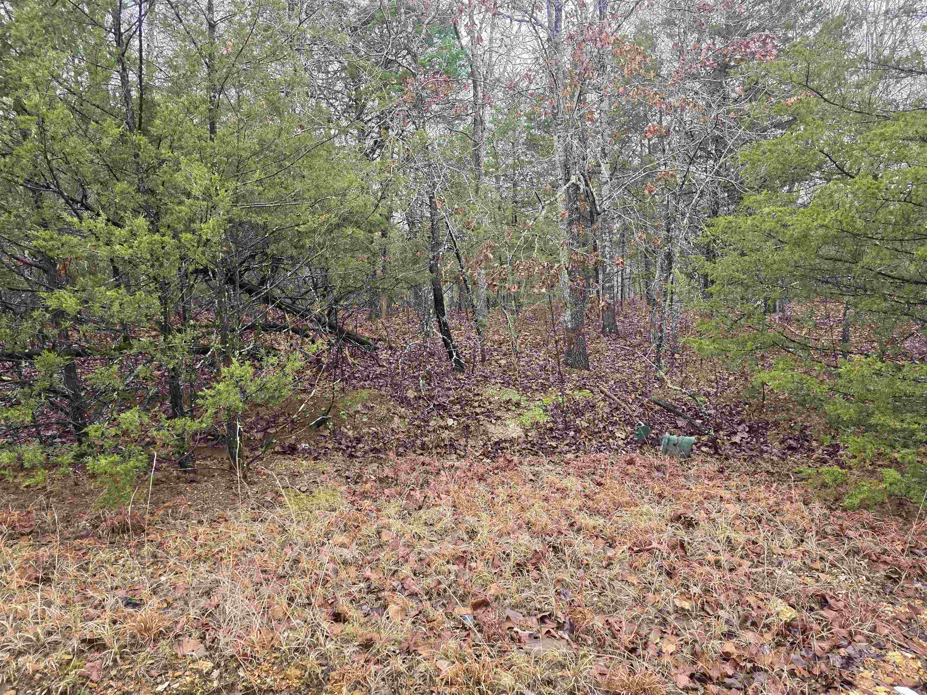 Cherokee Village - Land