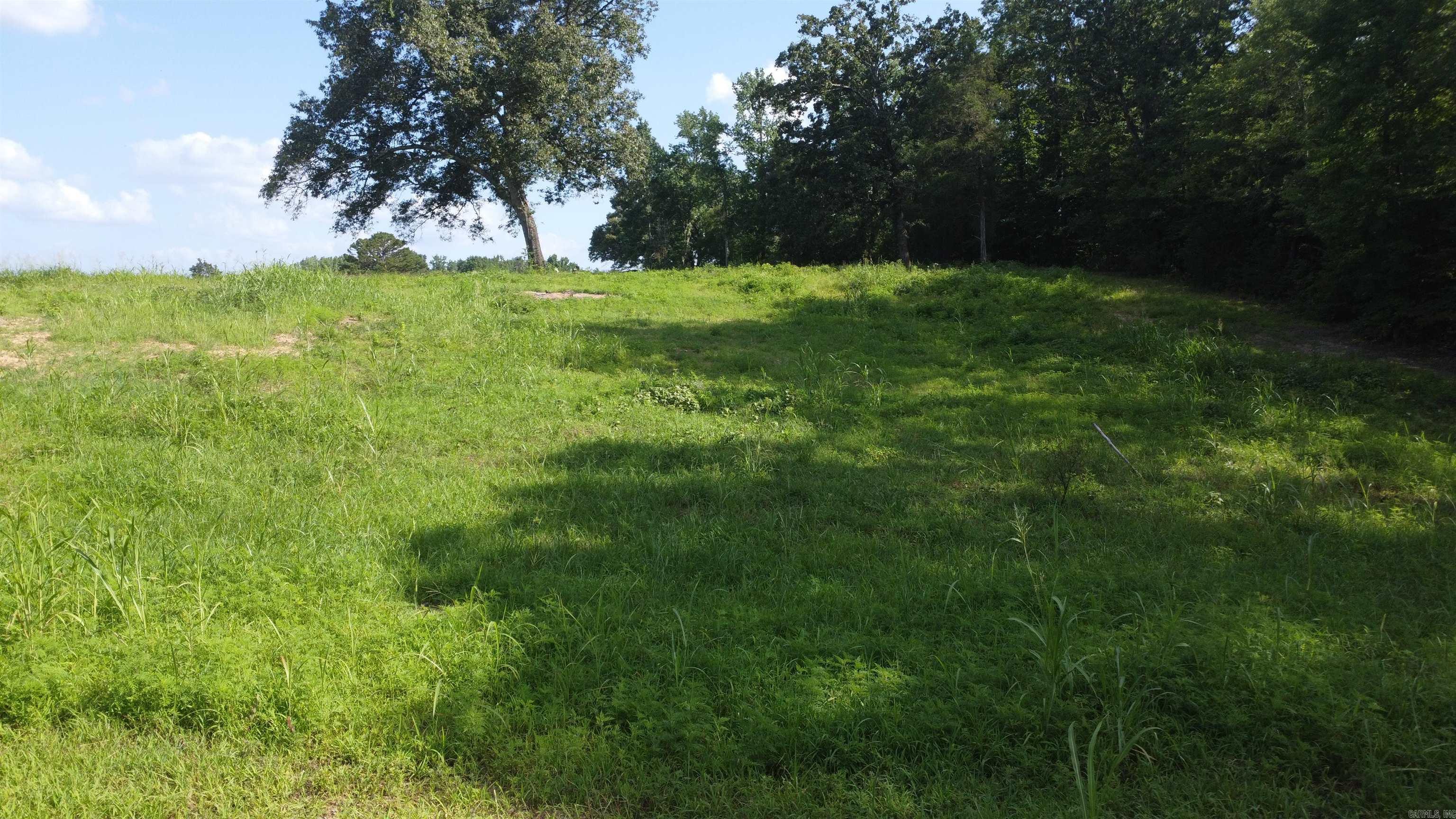 This 4.23-acre property features a beautiful view and 355 feet of road frontage along Whittington Homestead Road. It comes with a current survey, power access, and Mount Ida City Water access. The west side of the property is fenced, with several trees located on the back portion. Conveniently located, it is only 1.5 miles from Mount Ida, about 5 miles from Lake Ouachita, and just down the road from the Ouachita National Forest. Mobile homes are not permitted. Call us today to schedule a showing.