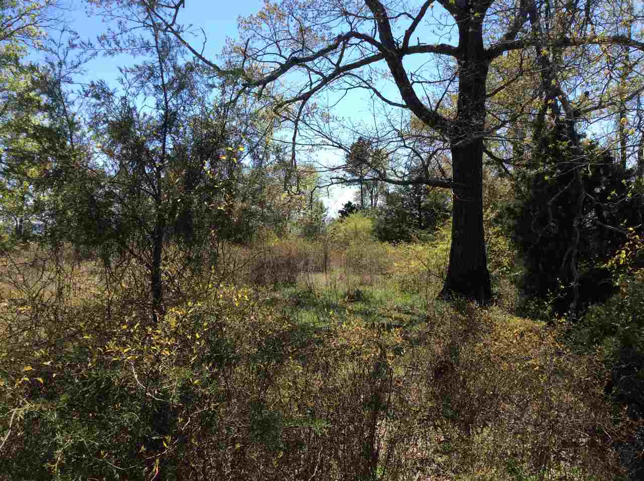 Shady Grove - Land