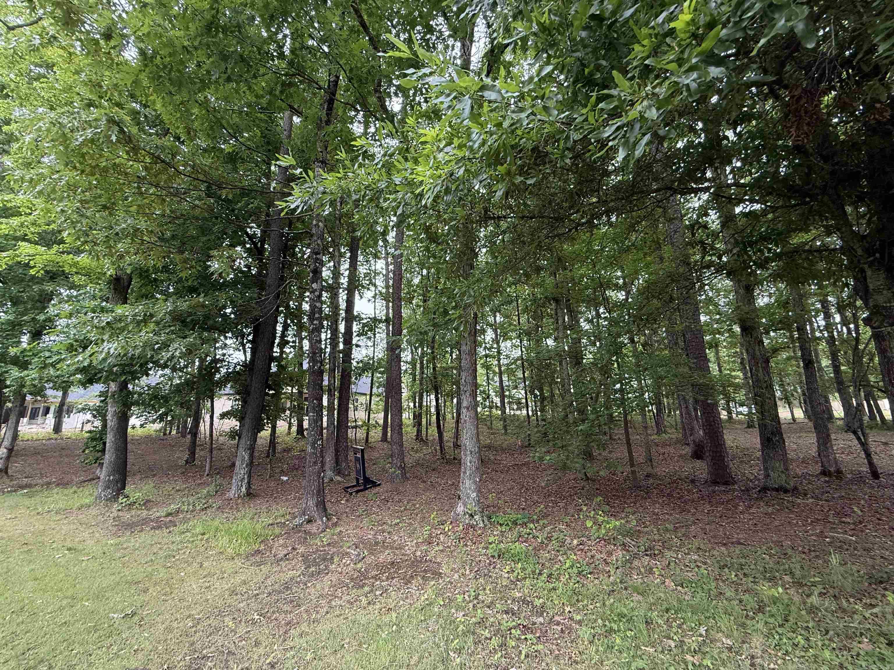 CHENAL VALLEY "MIRAMONT CIRCLE" - Land