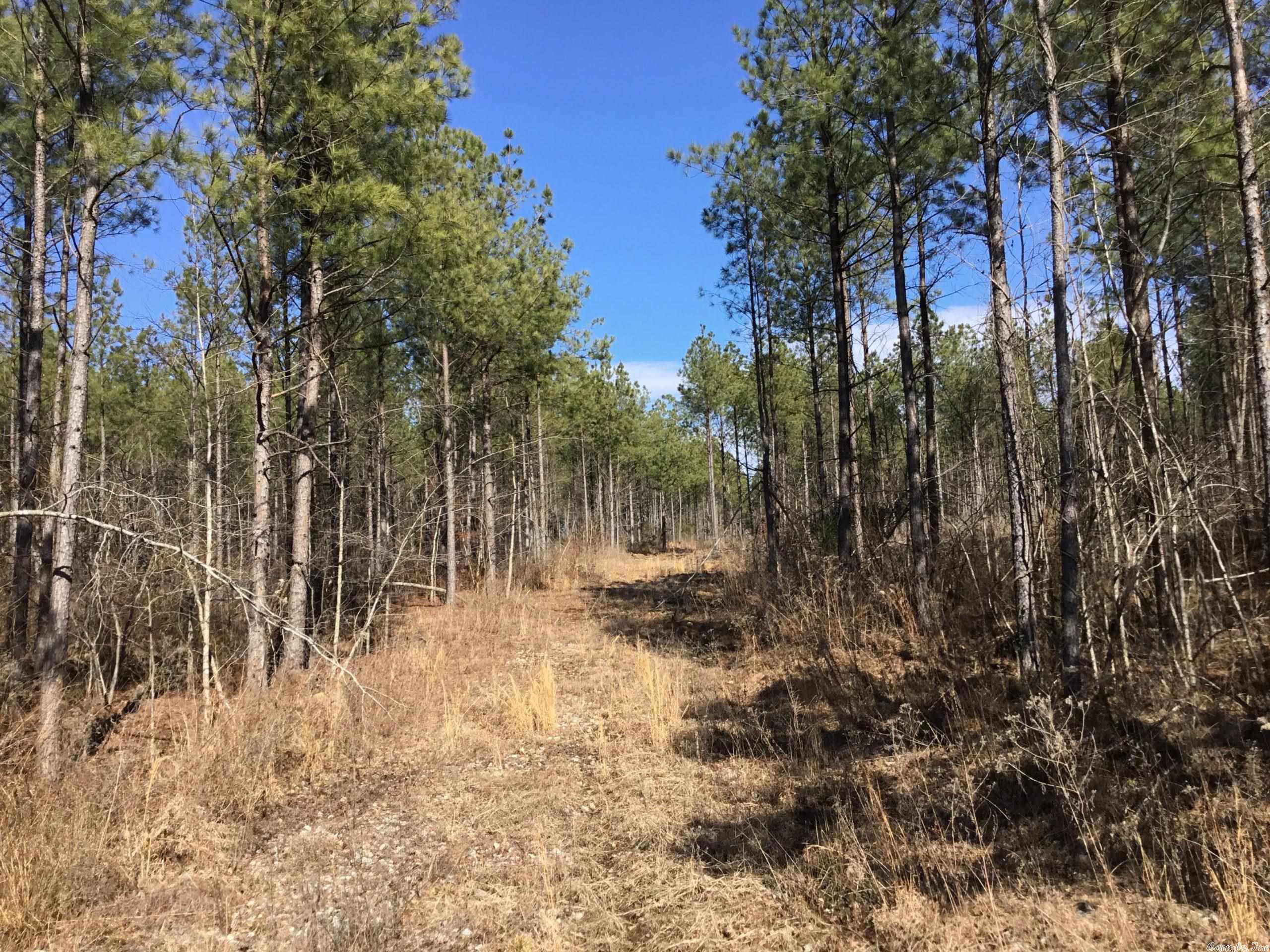 This property is located just off of Highway 10, in western Pulaski County, on Higginbotham Road. Water and power are both present, making this the perfect property to build a remote country home or hunting cabin. The subject tract is loaded in whitetail and small game sign, and access to thousands of acres of national forest land is just a short distance away. Also this property is just over 30 minutes from West Little Rock!  SELLER IS RETAINING MINERAL RIGHTS.