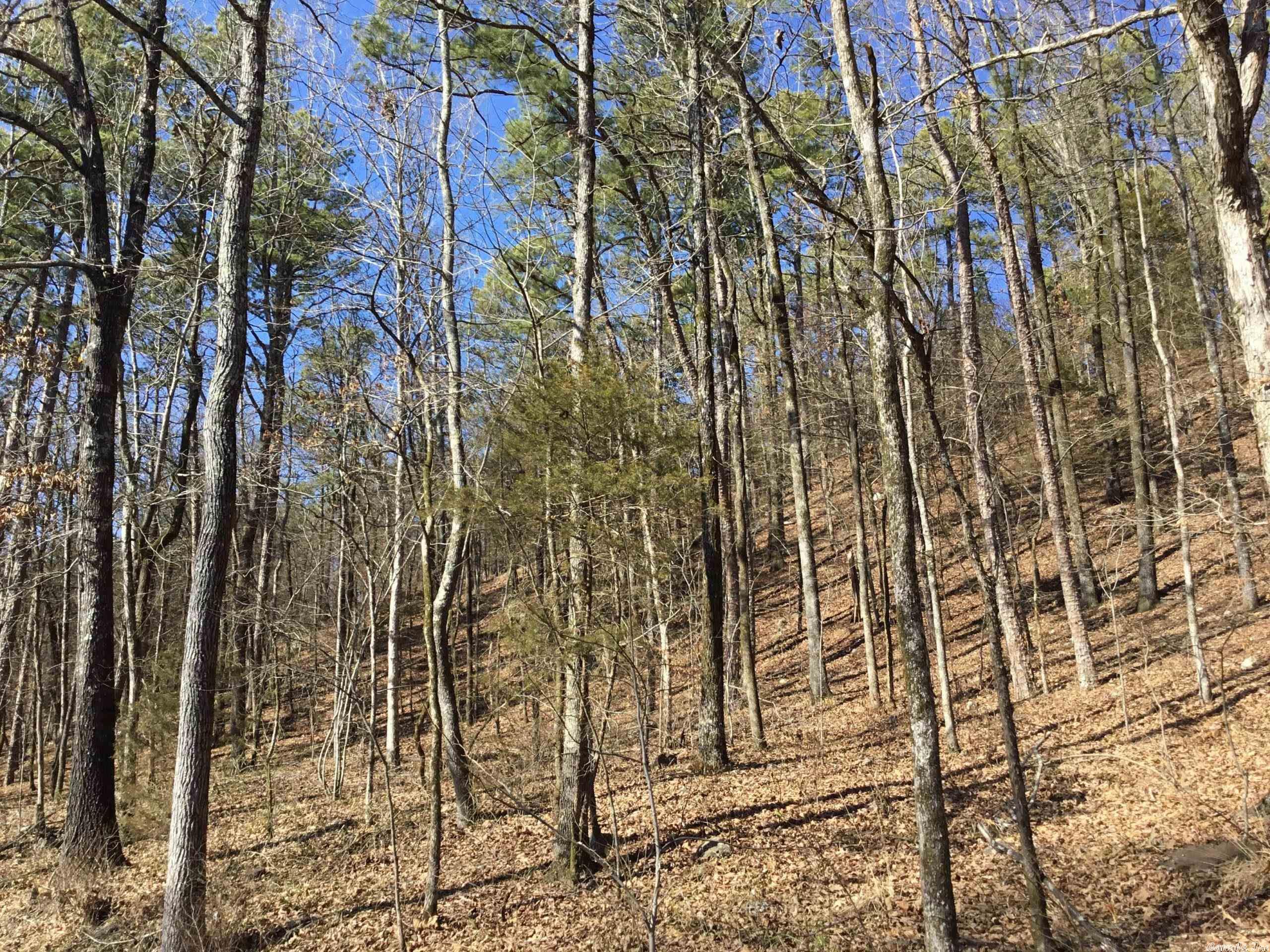 West Pulaski - Land