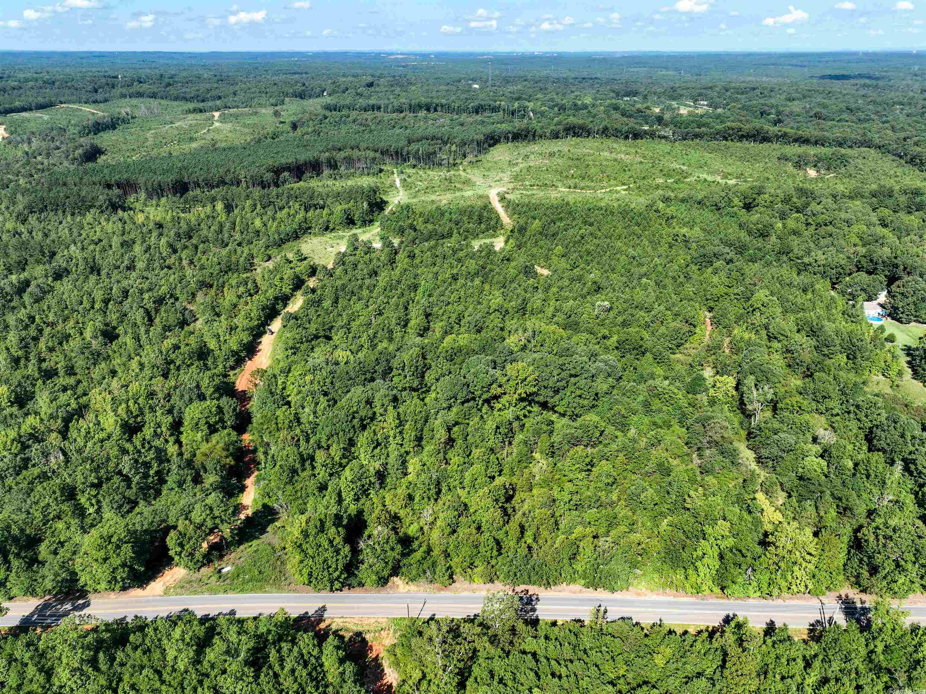Mountain Pine - Land