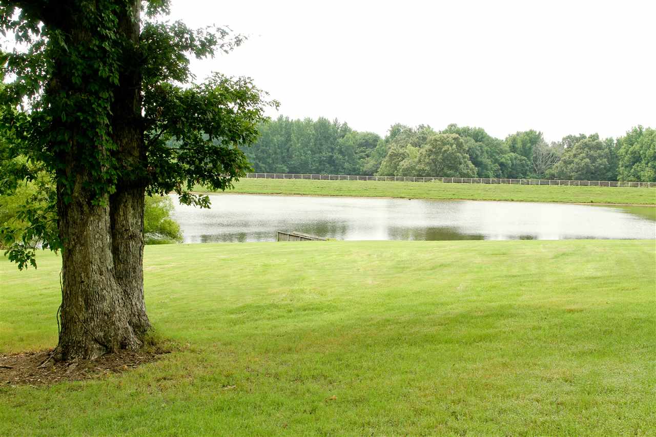 BIG CREEK - Residential