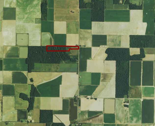 Excellent location with numerous possibilities. This 30 acres is part cleared, mostly wooded. It could cleared and farmed, it could be hunted for deer, or it could be the site of your new home. Fantastic piece of ground!