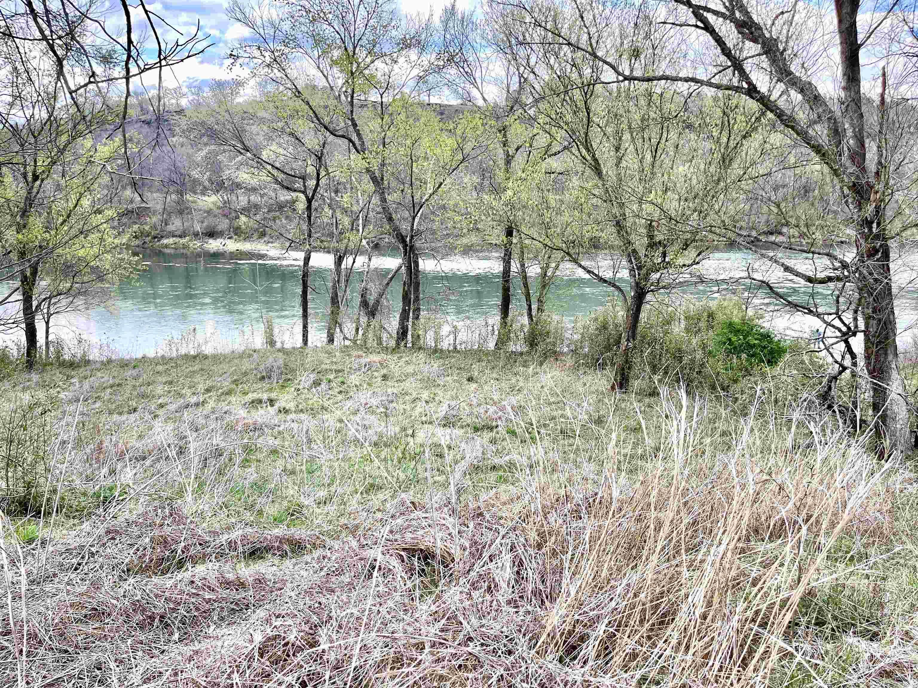 Fantastic White River frontage! Motivated seller priced at $20k-$75k lower than other White River frontage lots in the area! Catch Rainbow and Brown trout right from your backyard! Build your dream home or deluxe fishing cabin in secluded luxury! This beautiful upscale neighborhood is set in a peaceful valley next to the Ozark National Forest and has underground electric and very basic protective covenants. The lot has 123.7 feet m/l of river frontage. Fish & Game ramp in subdivision. Level building site with a beautiful sloping bank. It's time to get your White River dream started!   The seller is a licensed real estate broker in Texas, see the links below:   https://bt-wpstatic.freetls.fastly.net/wp-content/blogs.dir/3756/files/2019/02/Zina-New-IABS-02262019.jpg   https://www.trec.texas.gov/sites/default/files/pdf-forms/CN%201-3.pdf