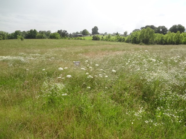 Absolutely  beautiful piece of land ready for your dream home to be built. Close to tow, with the feeling of living in the country. There is a mountain view from this 3.360 acres with City water and electricity already run to the property. There is even a fire hydrant close to the property. There are Covenants which include that homes must be built at least 2000 sq.ft., horses are allowed.