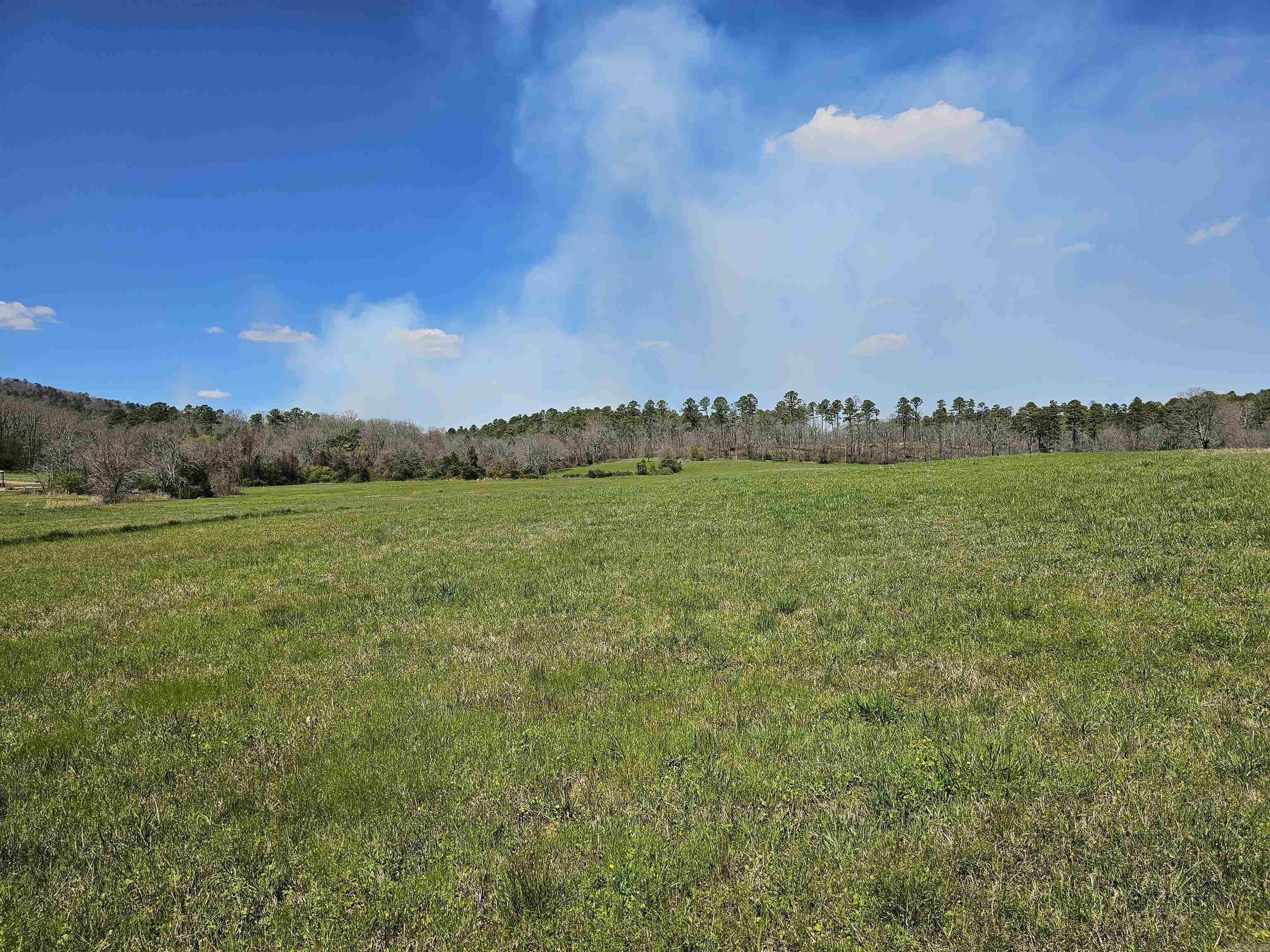 NATIONAL FOREST ON 2 SIDES and FENCED ON THREE SIDES! This beautiful 23.5 (m/l) has small rolling hills, multiple building sites, mountain views, wet weather creek, close to the Oden schools and highway frontage. (Tract 3 ONLY) Possible owner financing. Agents: must read remarks.