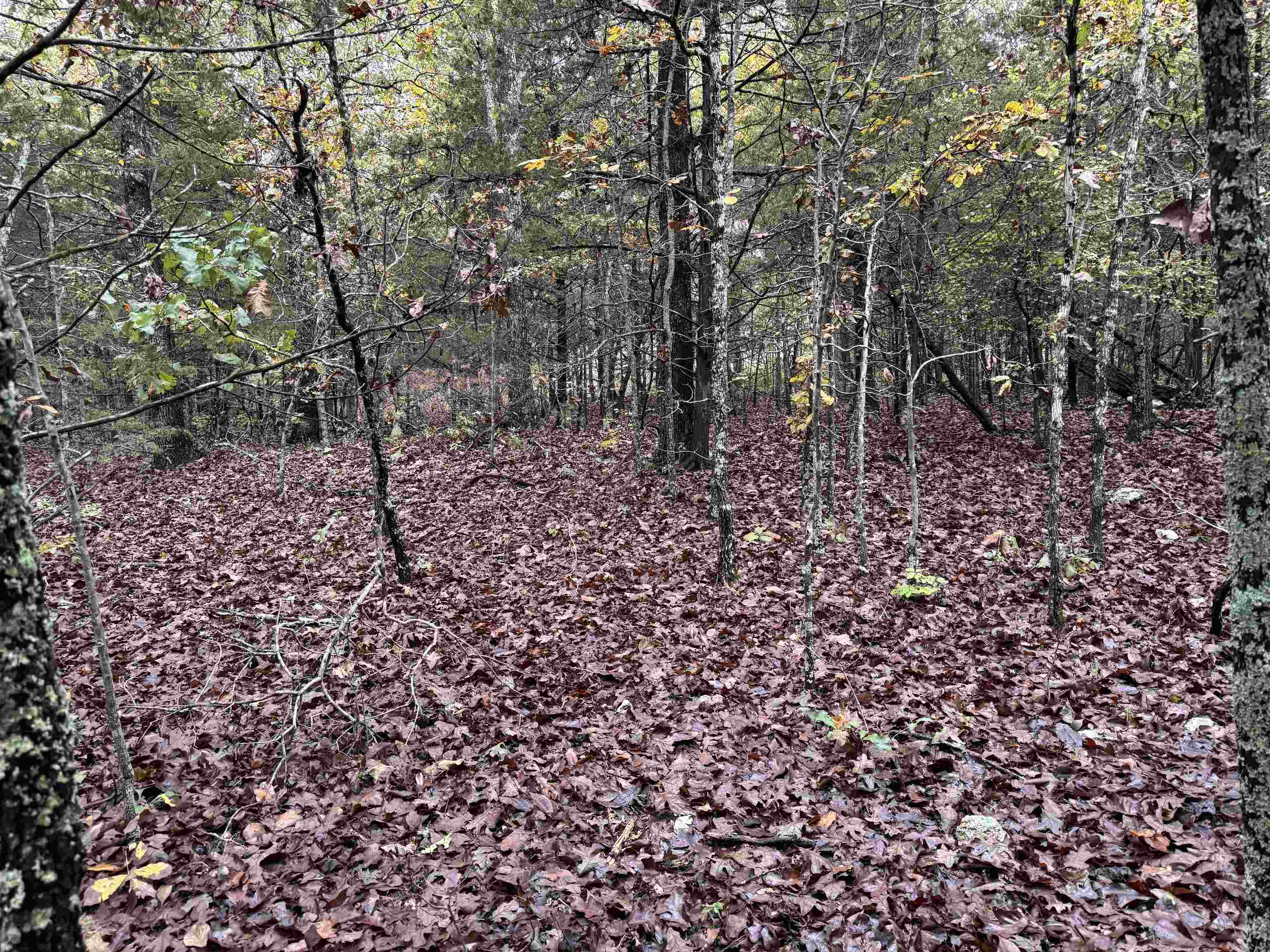 Build Your Dream Home Near Pioneer Lake! Discover the perfect canvas for your future home on this beautiful, wooded lot located near Pioneer Lake. There is a lakeview. Offering a private and serene setting, this property is covered in mature trees, providing a natural backdrop for your dream build or a secluded getaway. Enjoy the community's amenities, maintained by a modest $80 annual fee paid by all property owners to parks and recreation. Important Information: A state-approved percolation test will be required prior to building. Buyer will receive a limited warranty deed at closing. Don't miss this affordable opportunity to own a piece of nature. Drive by and imagine the possibilities today!