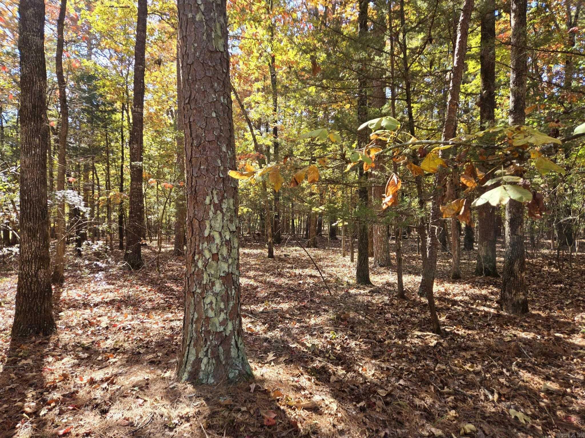 Discover the perfect canvas for your dream home at Lot 149 Grenada Circle in Fairfield Bay, Arkansas. Nestled within the prestigious Grand Isle Subdivision, this stunning level lot offers a serene and picturesque setting. Enjoy breathtaking partial lake views and the natural beauty of abundant pine and hardwood trees. Imagine building your custom residence in one of the most desirable areas on Greer's Ferry Lake, where tranquility and recreational opportunities abound. Lot 149 Grenada Circle is a rare gem that won't last long. Don't miss your chance to own this exceptional property and create the lifestyle you've always envisioned.