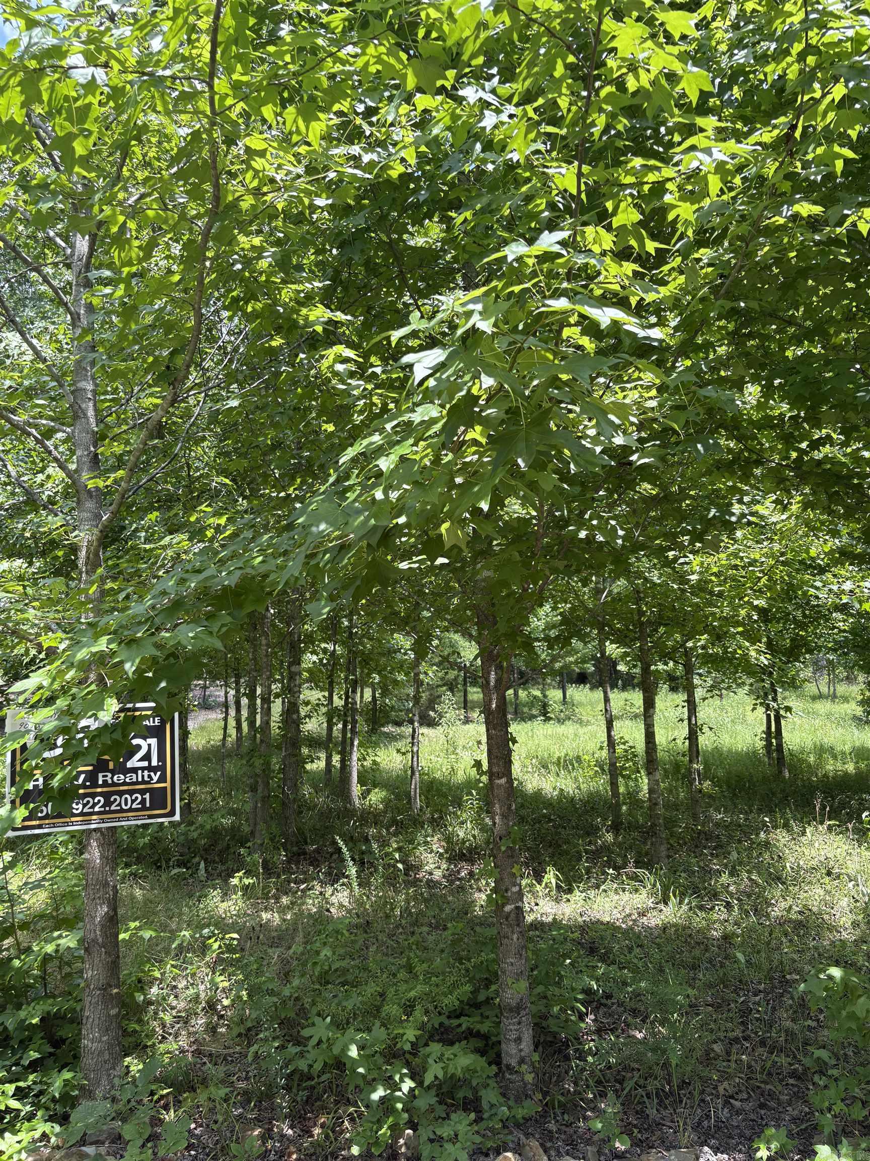 Charming Wooded Lot in The Village – Perfect for Your Dream Home!  Nestled in a peaceful cul-de-sac within The Village, this serene wooded lot offers the ideal setting for building your dream home. With a level building site, it’s ready for your vision to come to life. Enjoy the tranquility and privacy of the area, while being just minutes away from stunning lakes, scenic golf courses, and a variety of local amenities.  The neighborhood is known for its friendly atmosphere and excellent location—centrally positioned to provide easy access to all the best that The Village has to offer. Whether you’re an outdoor enthusiast, a golf lover, or someone looking to enjoy a quiet, convenient lifestyle, this lot offers the perfect foundation for your next chapter.  Don't miss out on this rare opportunity to build in one of the most sought-after areas in The Village!