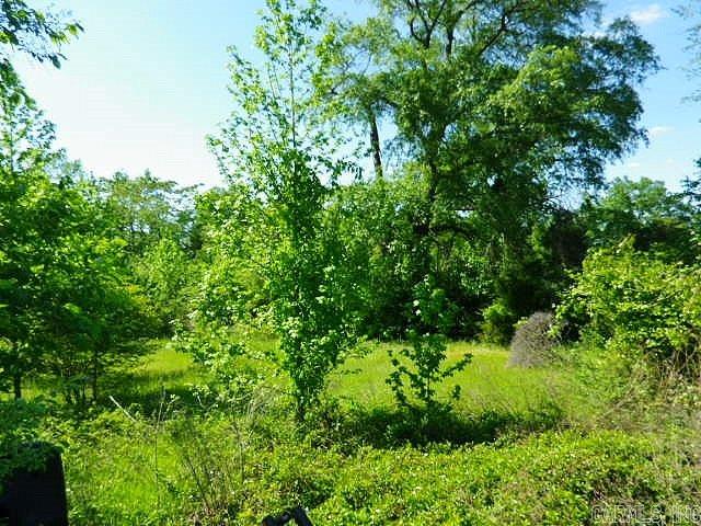 Springbrook Estates - Land