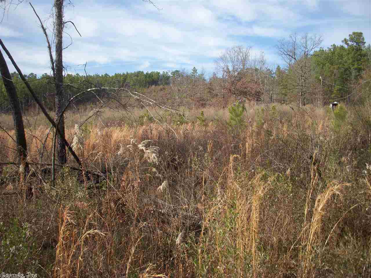 Great opportunity in the fast developing Bryant Collegeville school area, city water available from the road, elevated views from the rear of the property! Loblolly pines planted 15 yrs ago. 20 acre tract available MLS #10375248 or purchase 10 acres on front or back, survey of 20 acres in Documents online Sold the front 10 acres!