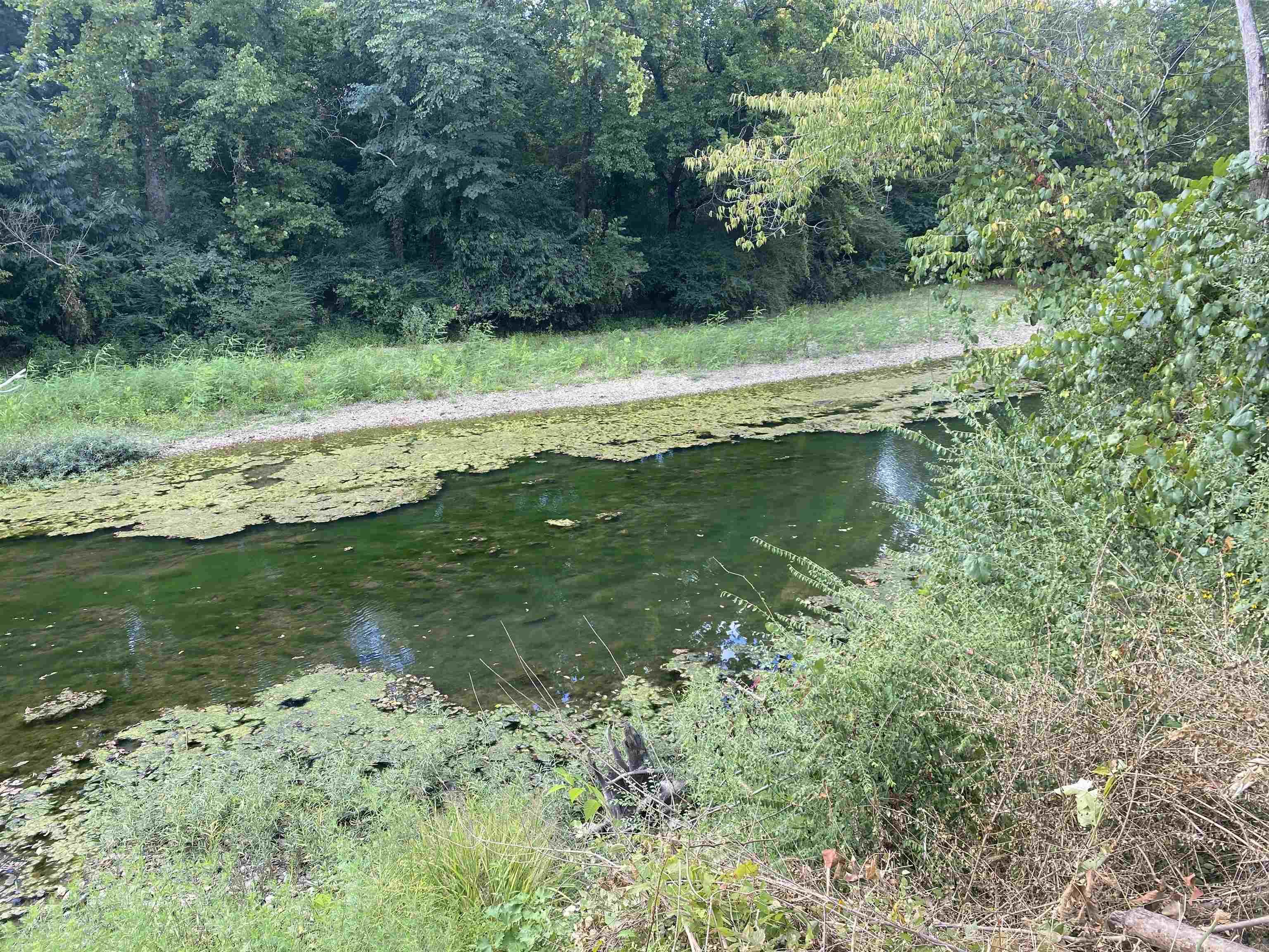 Get your lot bordering the Southfork of the Ouachita River!  Located just off Hwy 27 North not too far out of Mount Ida, this lot is 2.03 acres m/l and would make a perfect place to build a cabin or just to picnic on the river.  Bring your camper, mobile home or just come play for the day and enjoy the Southfork! Several lots available here but this is lot $8.  $40,498.50