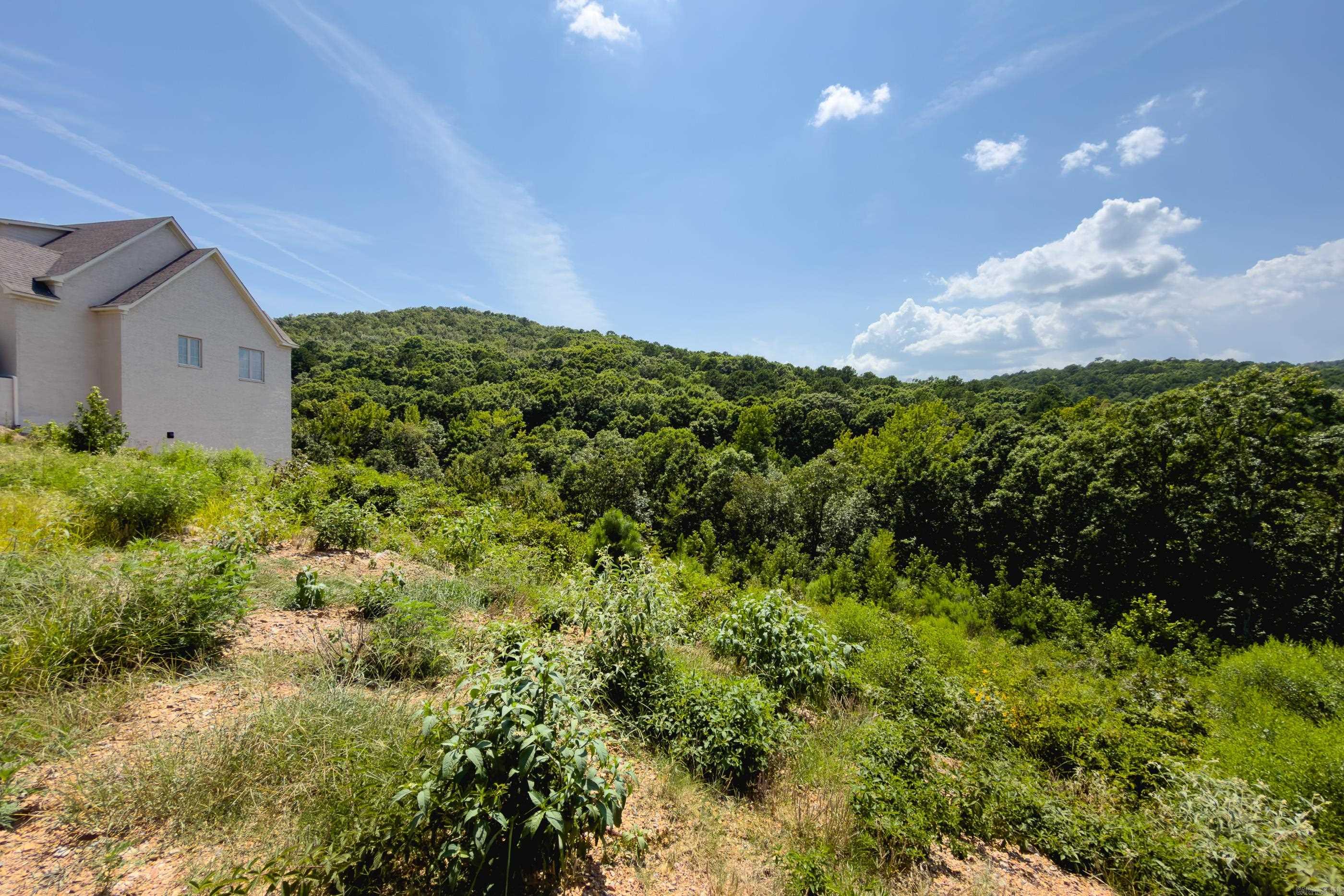 CHENAL VALLEY "FALSTONE COURT" - Land