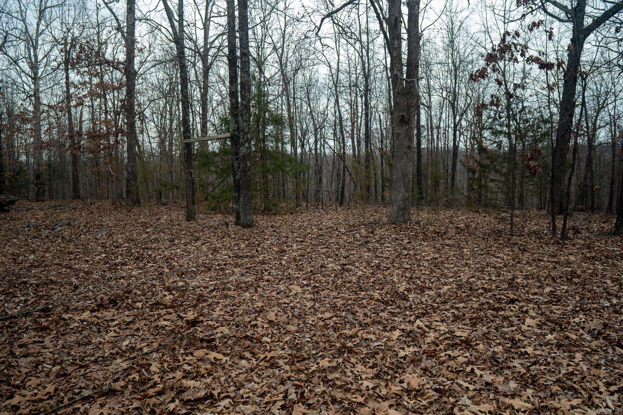 If you've been looking for a secluded piece of ground with strong hunting potential and future build options, "Toombs Corner" checks the boxes.  The property features a nice stand of timber and topography creating excellent habitat for deer, turkey, and even bear. Natural travel corridors make this tract hunt much bigger than it is. Whether you're looking to hang a few stands, establish food plots, or simply enjoy a quiet retreat in the woods, this place is ready for it.  An old homesite sits on the property, offering a head start for someone wanting to build a cabin or rural residence. Electric is available at the road, and the property offers gravel road frontage for easy, year-round access.This would make an ideal weekend hunting getaway, a family recreational property, or a long-term land investment.  Additional acreage is available nearby, providing an opportunity to expand your footprint or secure even more hunting ground.  Quiet. Accessible. Hunt-ready.  -Deer, turkey, bear and small game.  -Interior road system.  -Gravel road frontage with electric available.  -7 miles from Ravenden Springs, AR.  -50 miles from Jonesboro, AR.  -Zone 3 deer hunting regulations.