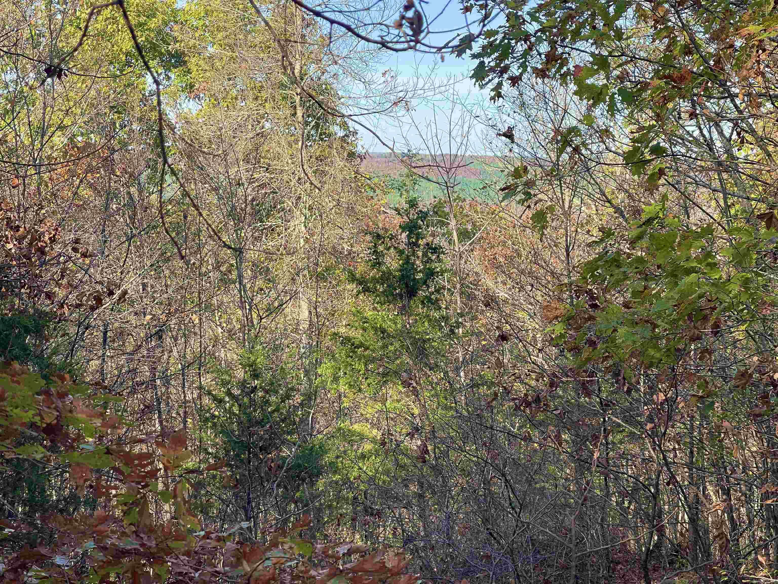Eagle Ridge - Land