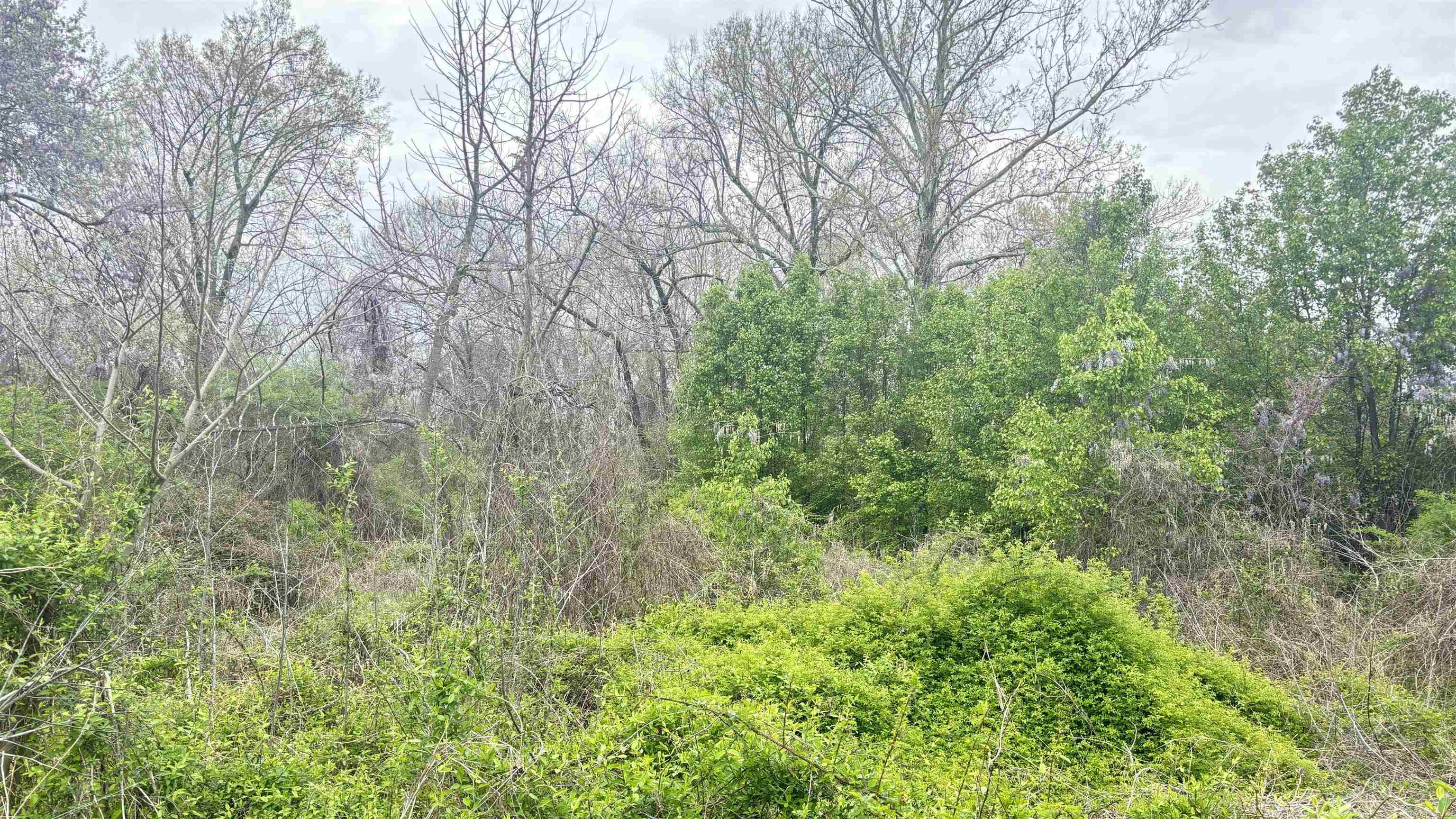 College Park R1 - Land