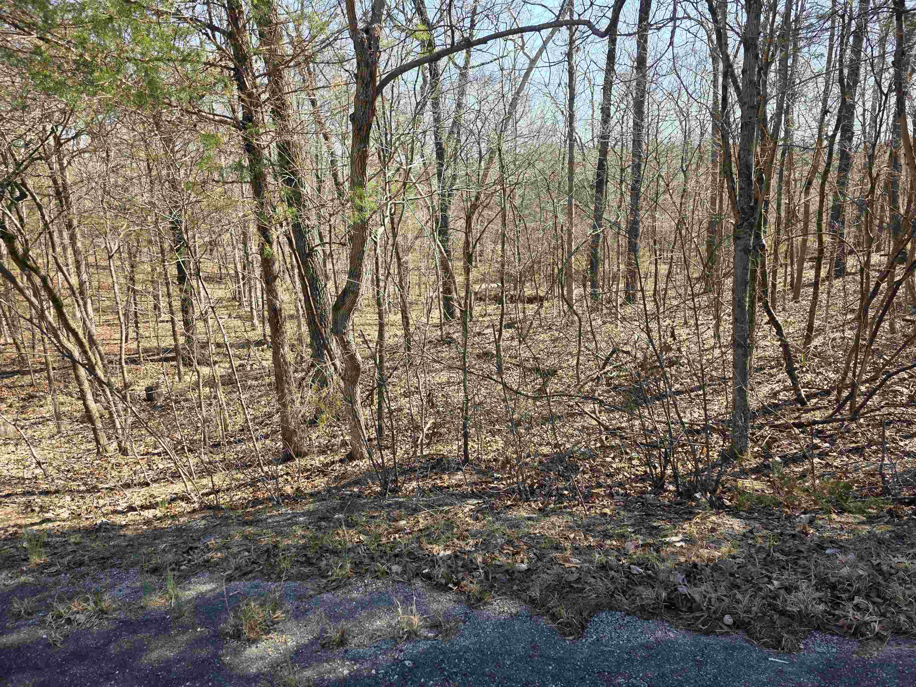 Wonderful and wooded lot in the heart of Cherokee Village. Secluded and away from it all. But close to a main road for quick exits from the Village for shopping, dining and entertainment. Lots of trees and lots of wildlife as well as a wet weather creek at the very back of the lot. Buy this lot and pick your spot to build your dream home or just a getaway cabin. With ownership of this lot, you will have access to all the amenities of Cherokee Village such as the 7 lakes and Two 18-hole golf courses also the Thunderbird Center and swimming pool, mini golf, parks, hiking trails and don't forget about the beautiful Southfork River for fishing, kayaking or just floating down to wet your toes. This is a wonderful lot to purchase and plan for your future home. Call to purchase this one. This lot can be purchased in a package deal with 2 other lots. 2 side by side and 1 to the rear.