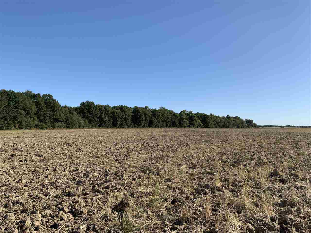 Jackson - Farm