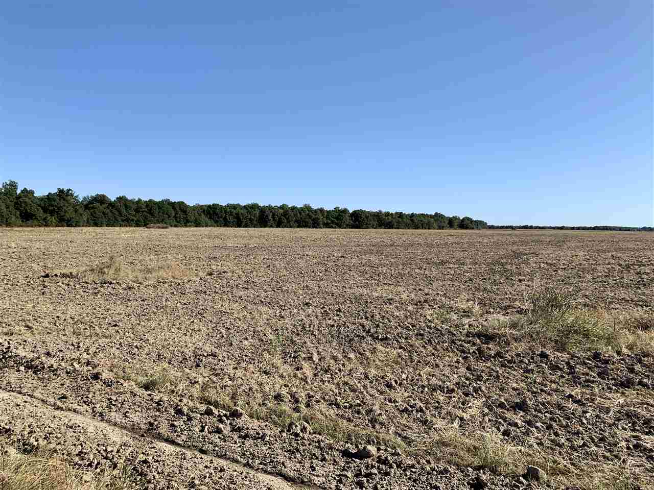 Jackson - Farm