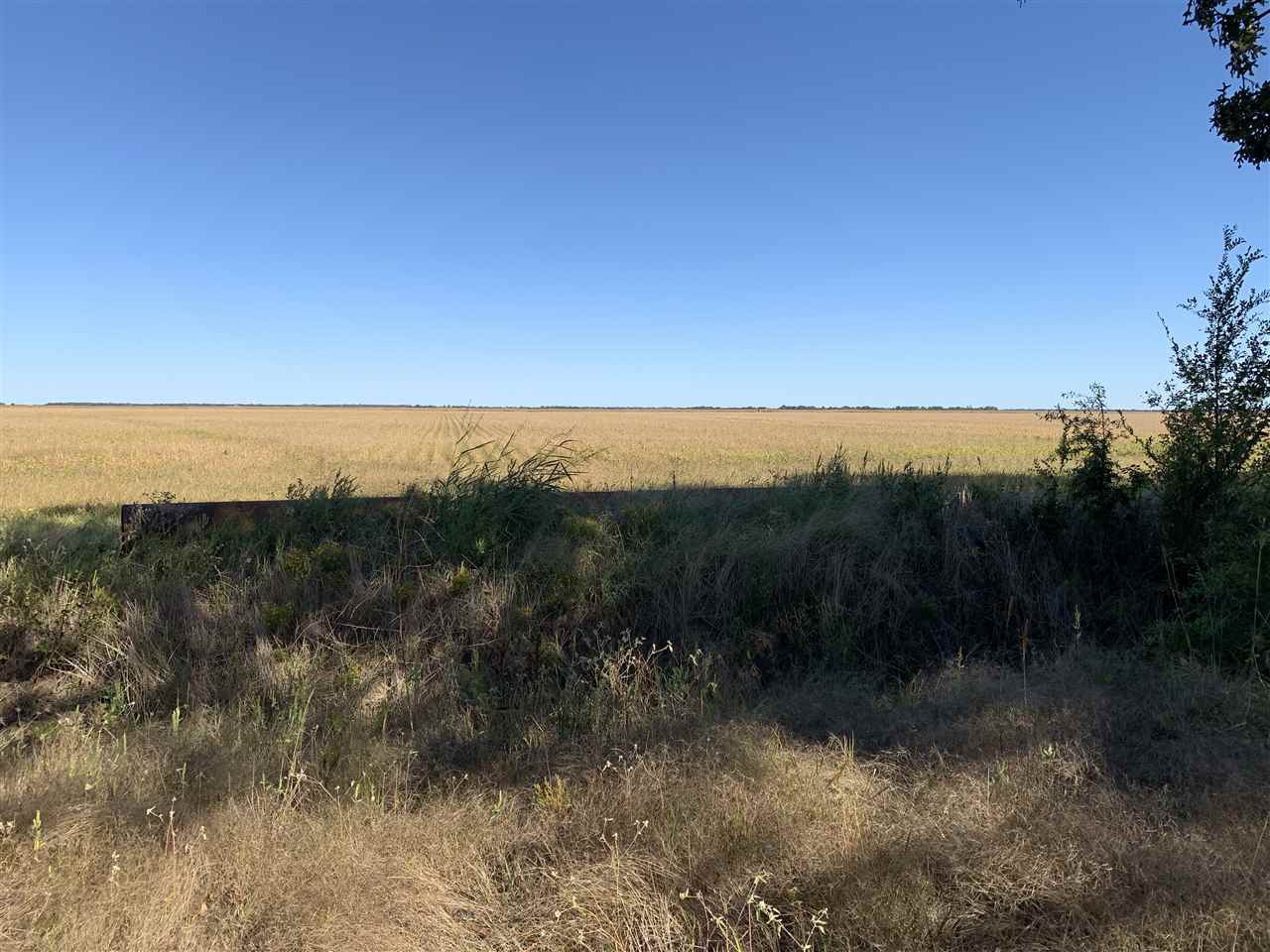 Jackson - Farm